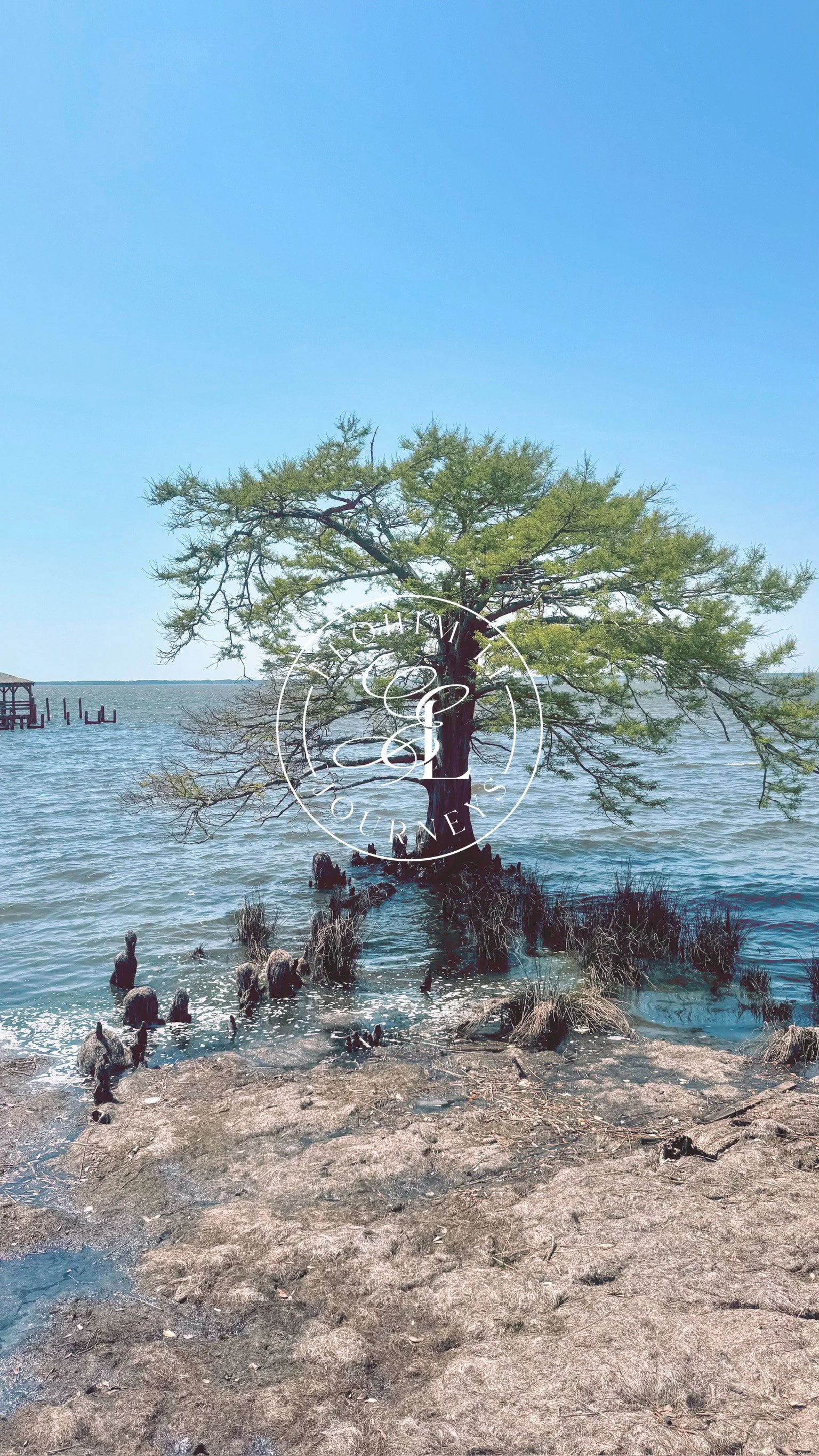 North Carolina_04.jpeg