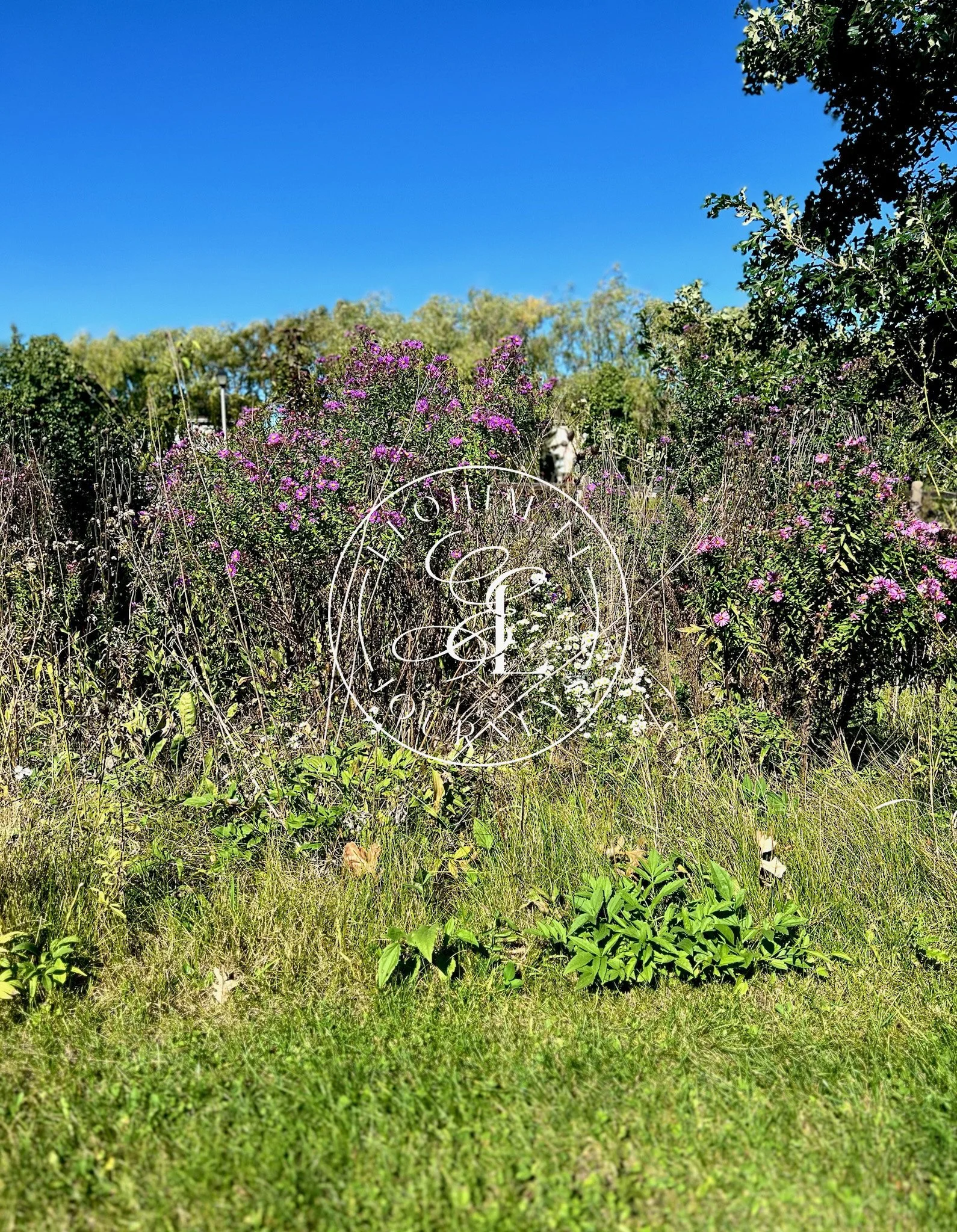 Illinois Photo Package