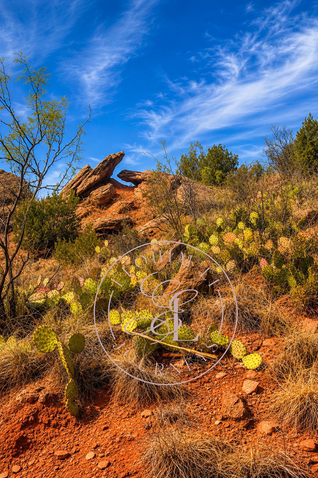 Palo Duro Canyon State Park (04).jpg