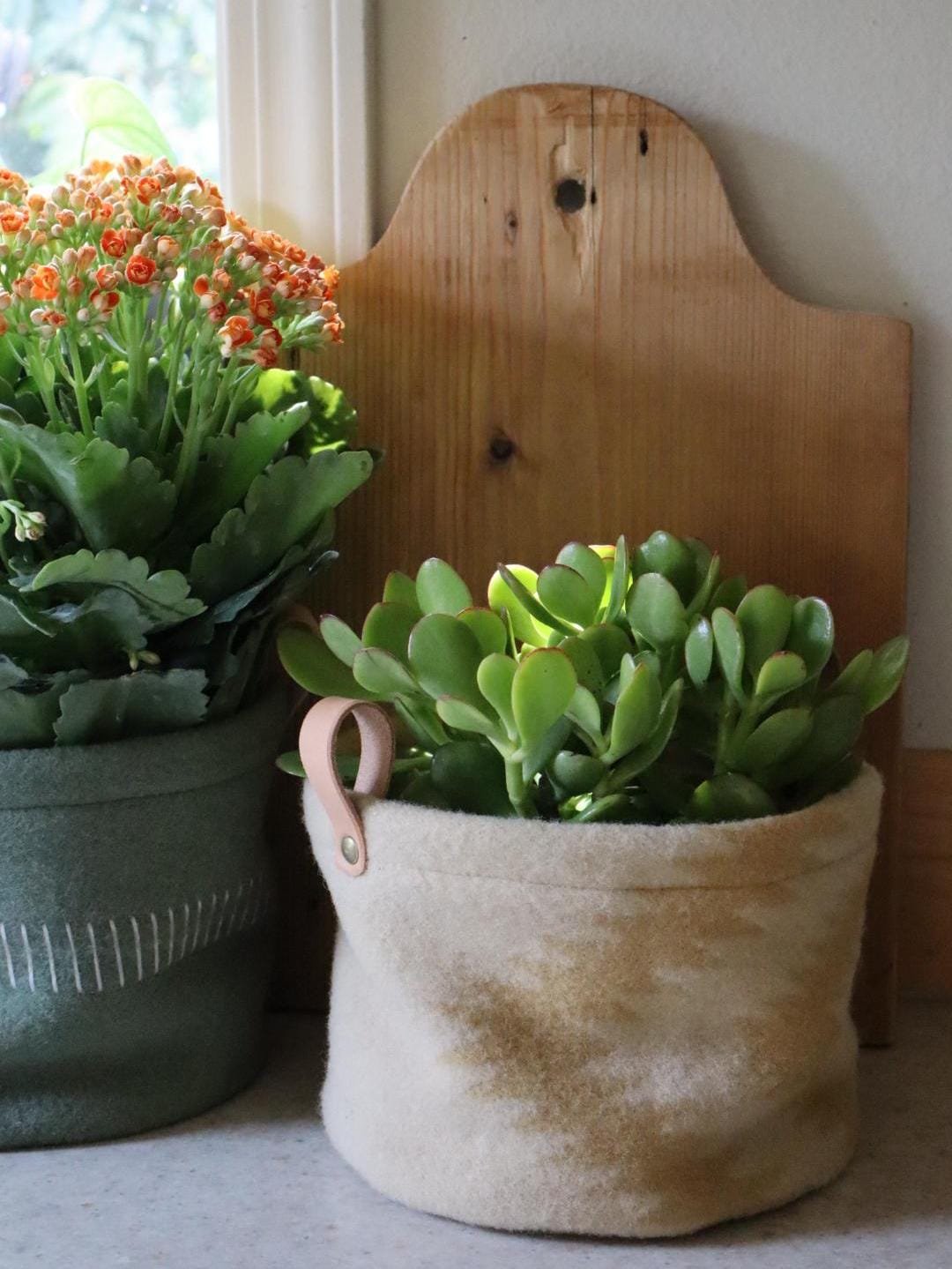 https://i.etsystatic.com/7192141/r/il/0f7231/6154647426/il_fullxfull.6154647426_ciog.jpg