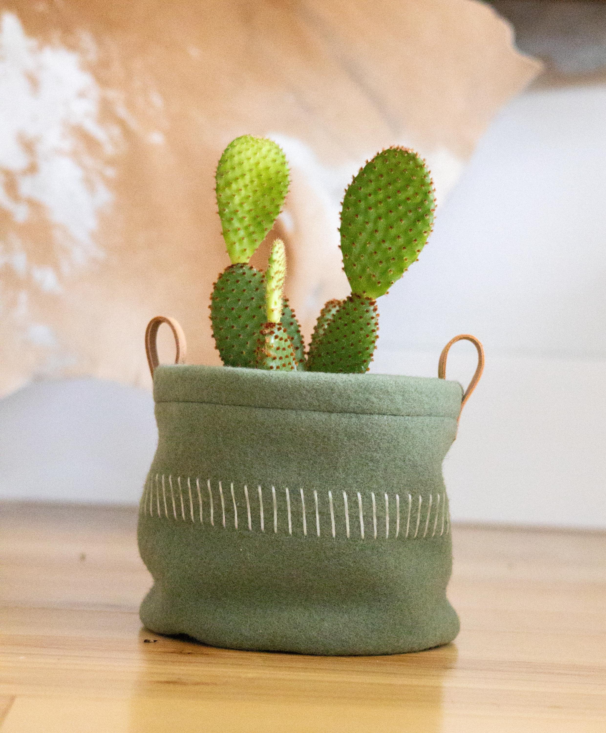 https://i.etsystatic.com/7192141/r/il/643856/6238635894/il_fullxfull.6238635894_as3y.jpg