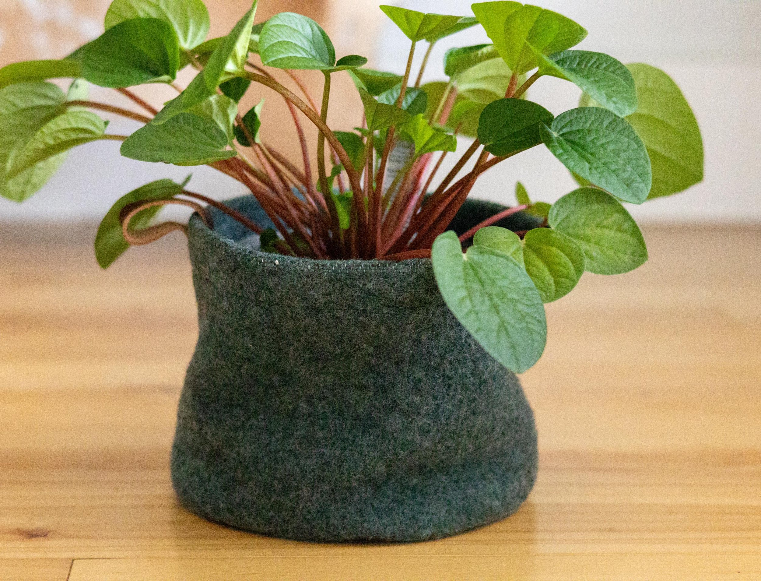 https://i.etsystatic.com/7192141/r/il/8cbf07/6286693731/il_fullxfull.6286693731_i48y.jpg