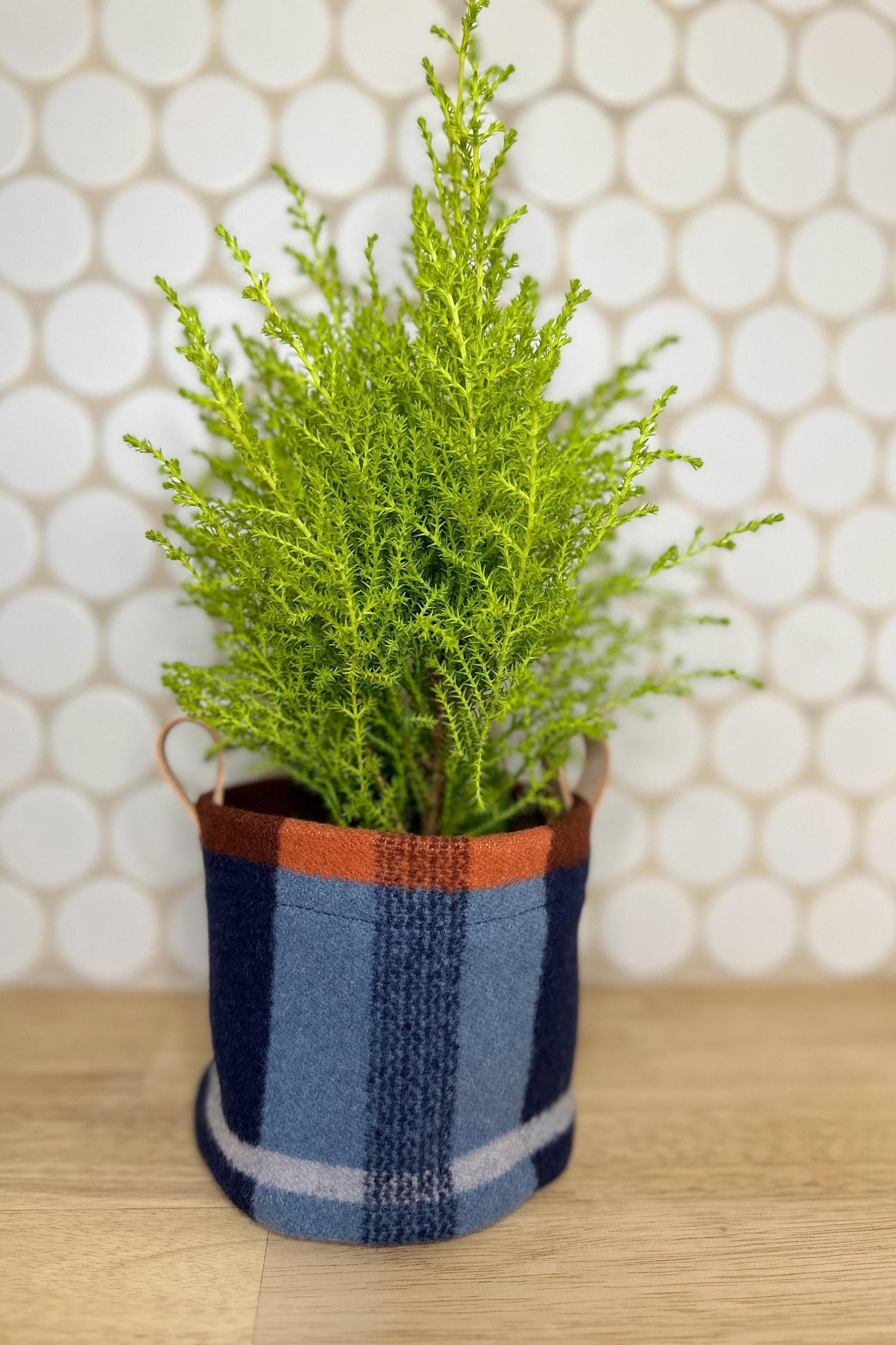 https://i.etsystatic.com/7192141/r/il/e051f9/6173793042/il_fullxfull.6173793042_hgub.jpg