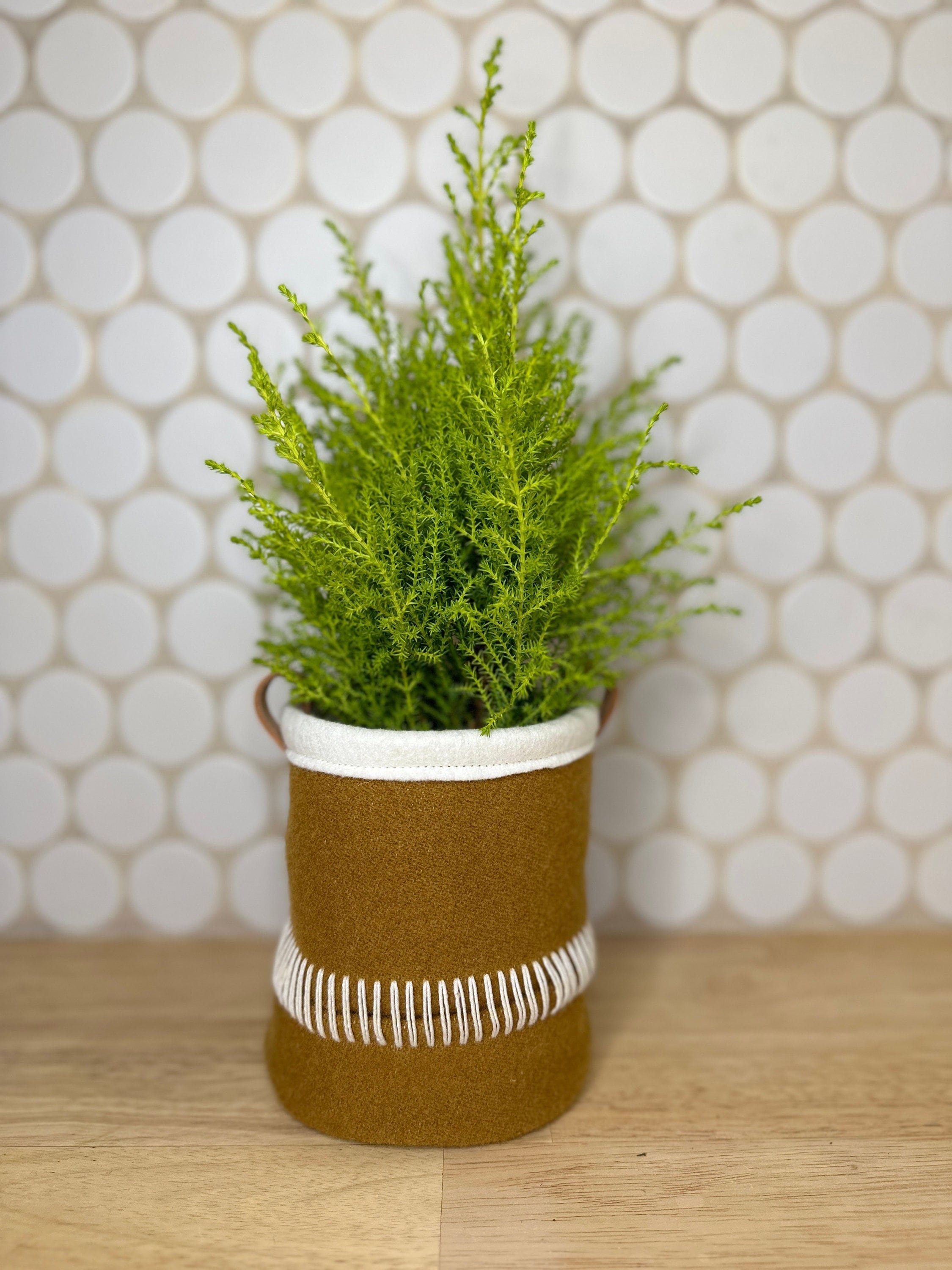 https://i.etsystatic.com/7192141/r/il/59518b/6221859569/il_fullxfull.6221859569_9db3.jpg