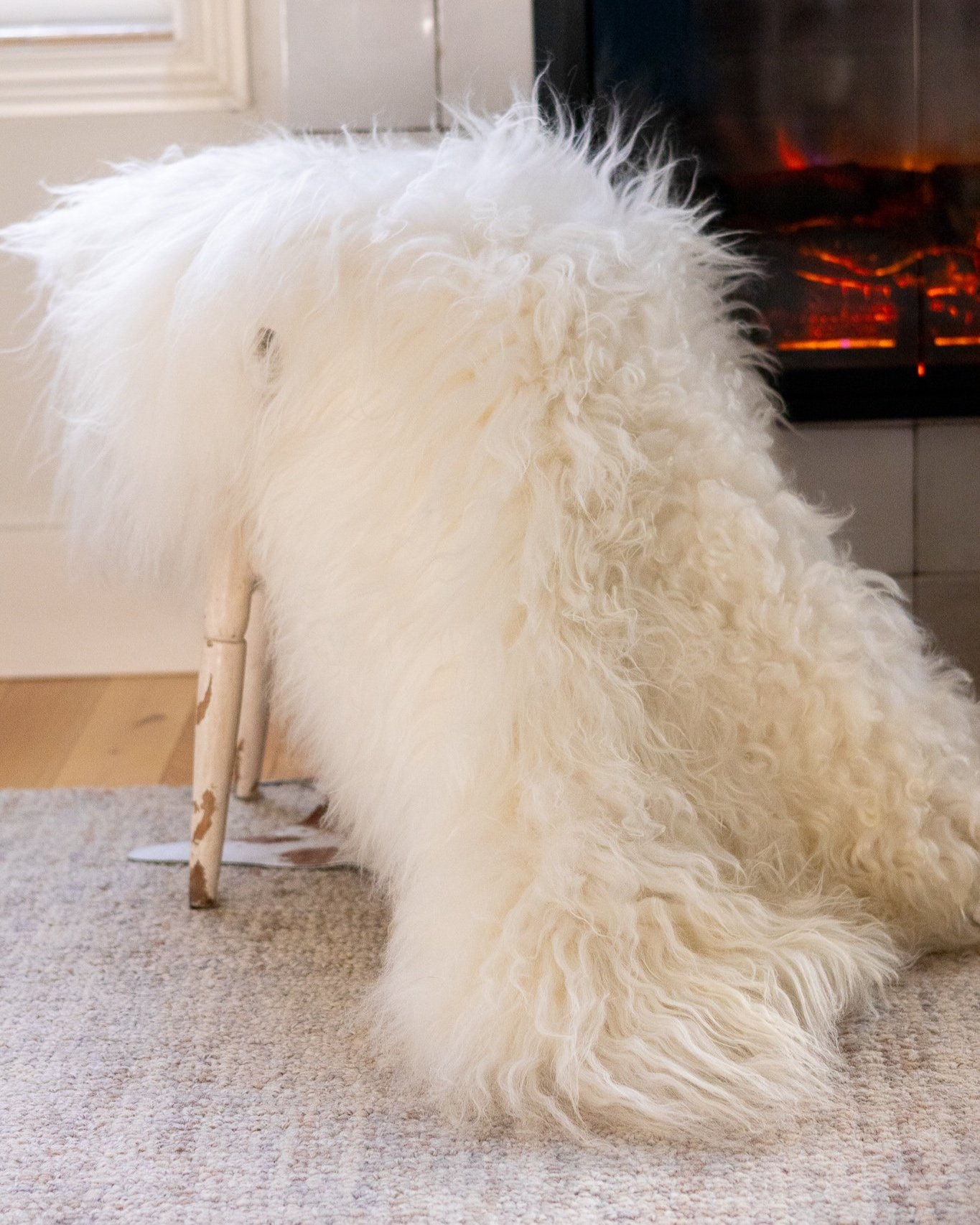 largefur3.jpg