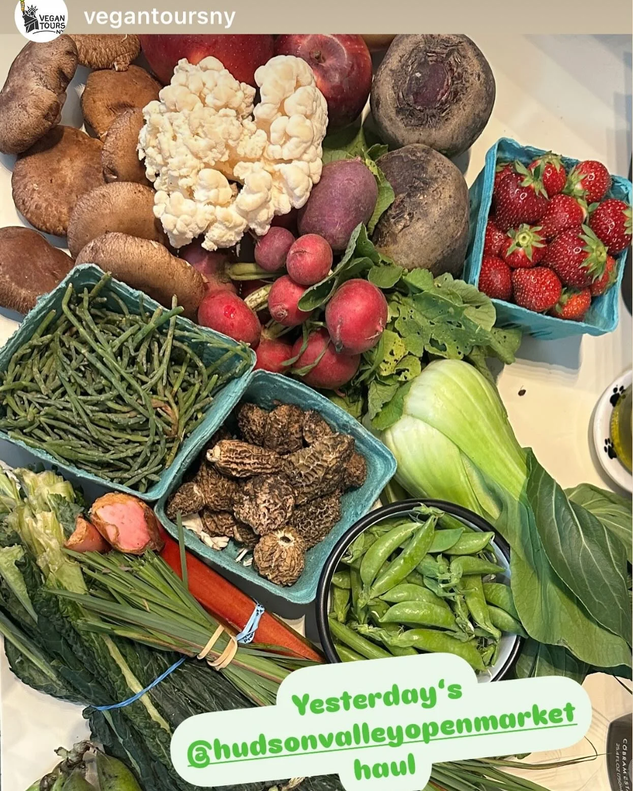 @vegantoursny scored big at the market this past Saturday. :) What an impressive haul. All this fresh produce, plus more vegan offerings from @littleloafbakeshop @lilthiefhv and more. :)

#veganhudsonvalley #vegan #hudsonvalleyvegan