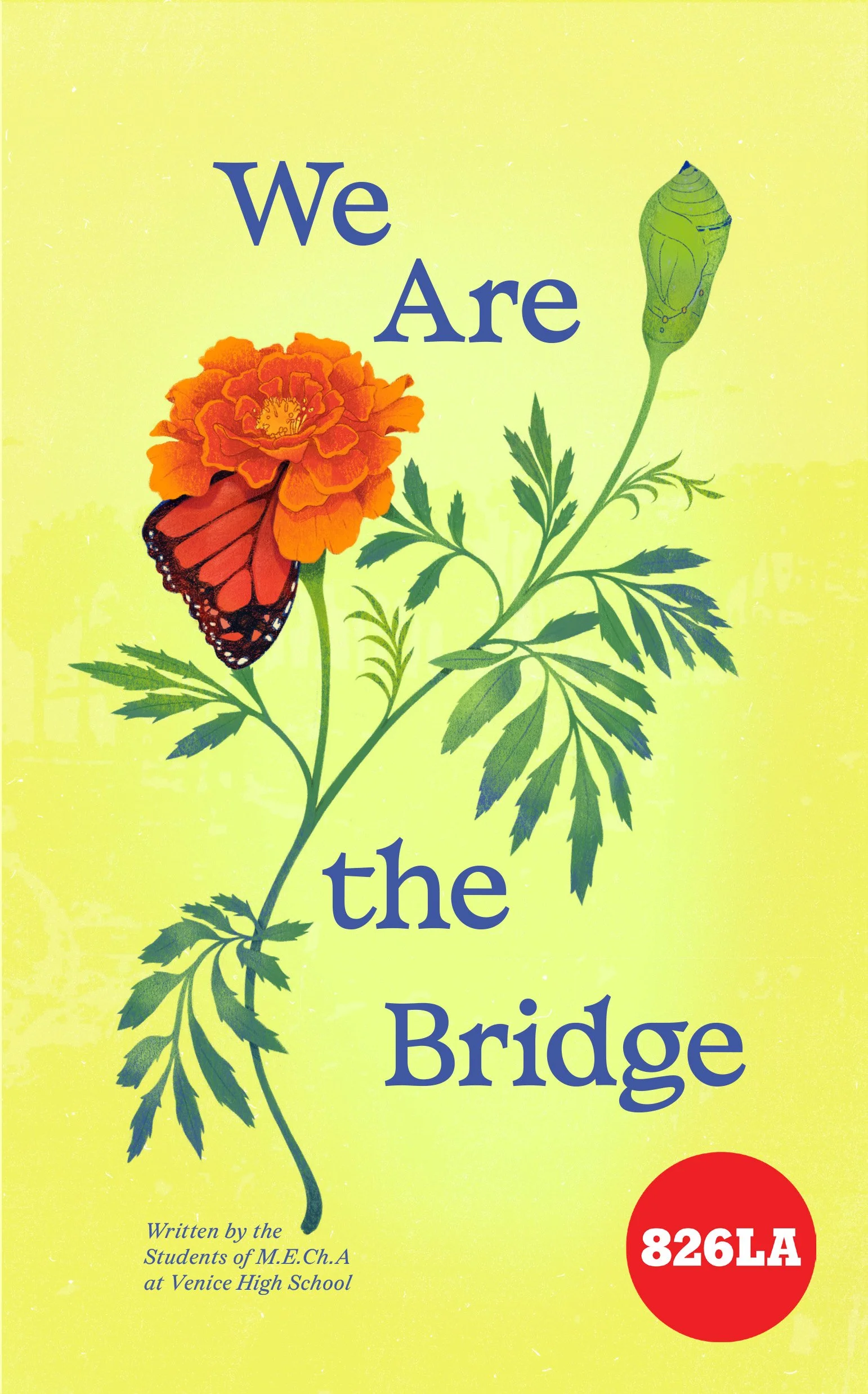 We Are the Bridge