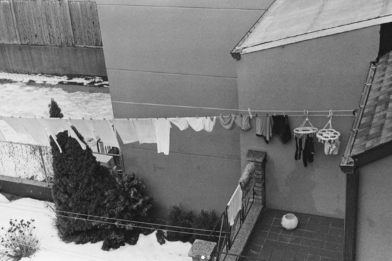 Screenshot 2024-08-23 at 5.29.04 PM.jpg