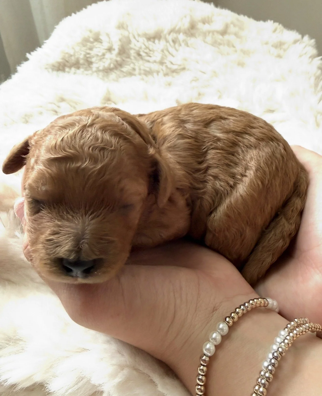 Stripe - Boy - $4,000  - Available