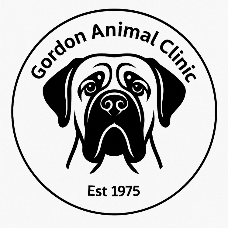 Gordon Animal Clinic
