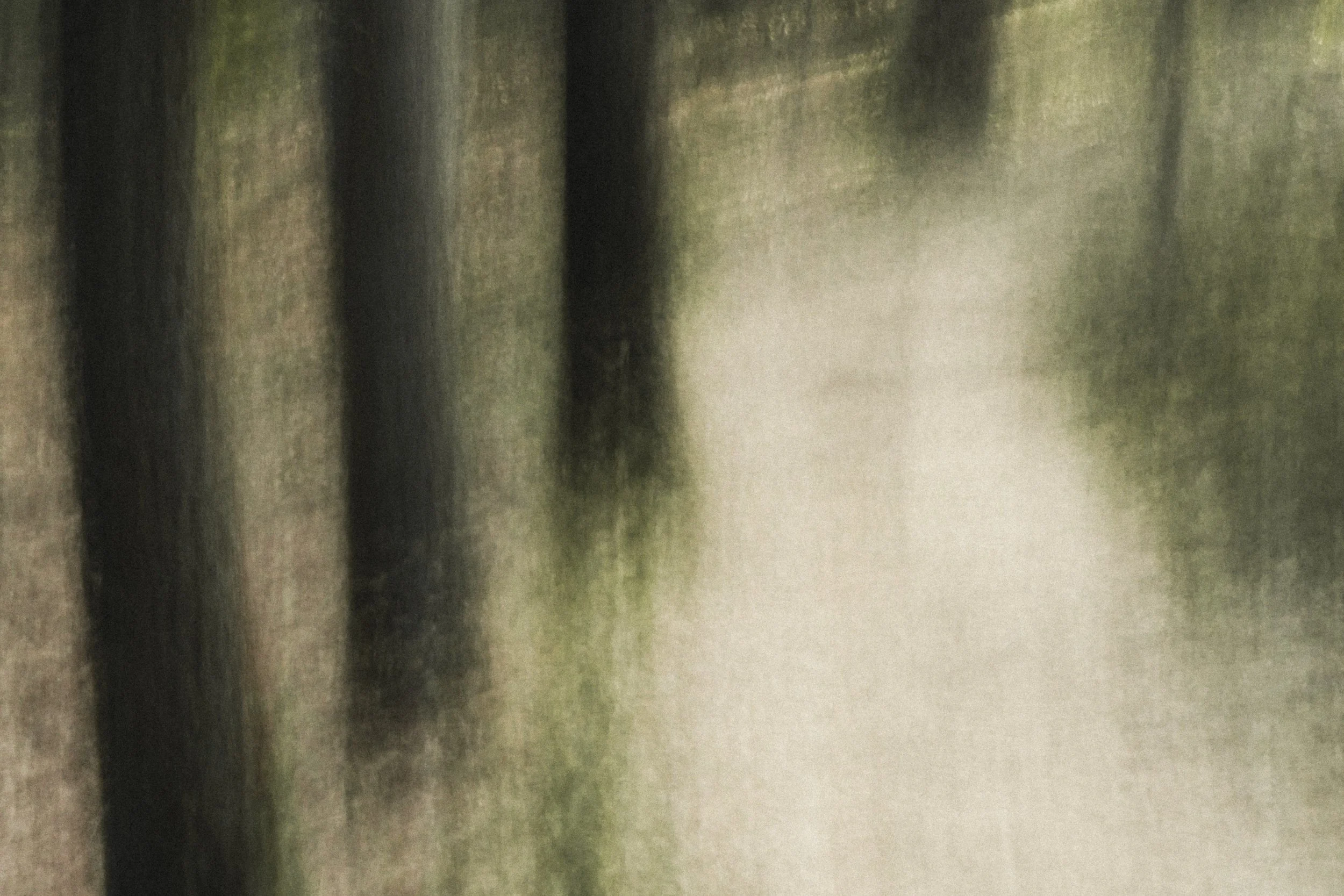 Painted_Trees_III.jpg