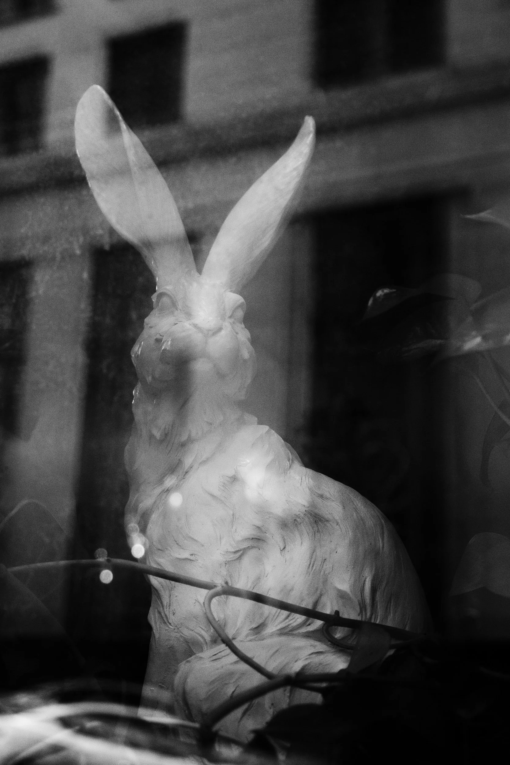 DSCF3785.jpg