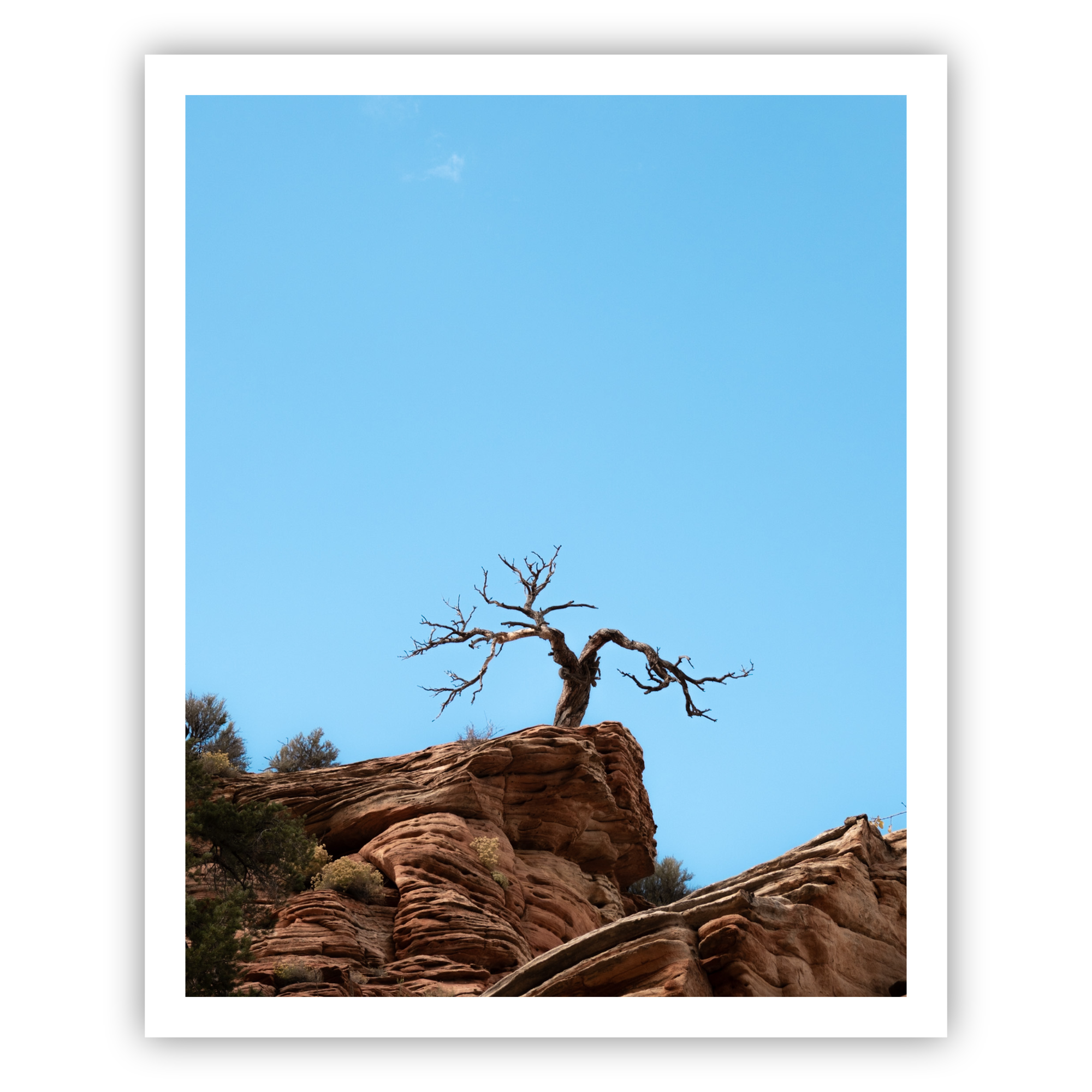 Life-On-The-Edge-Mockup.png