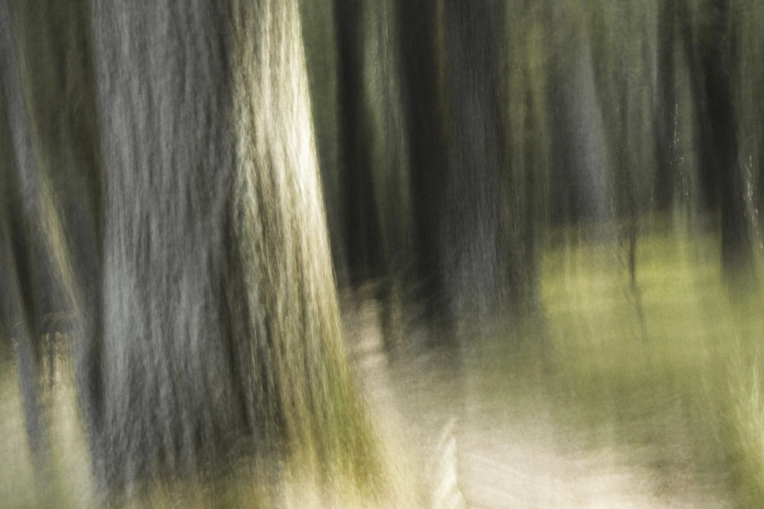 Patinted_Trees_I.jpg