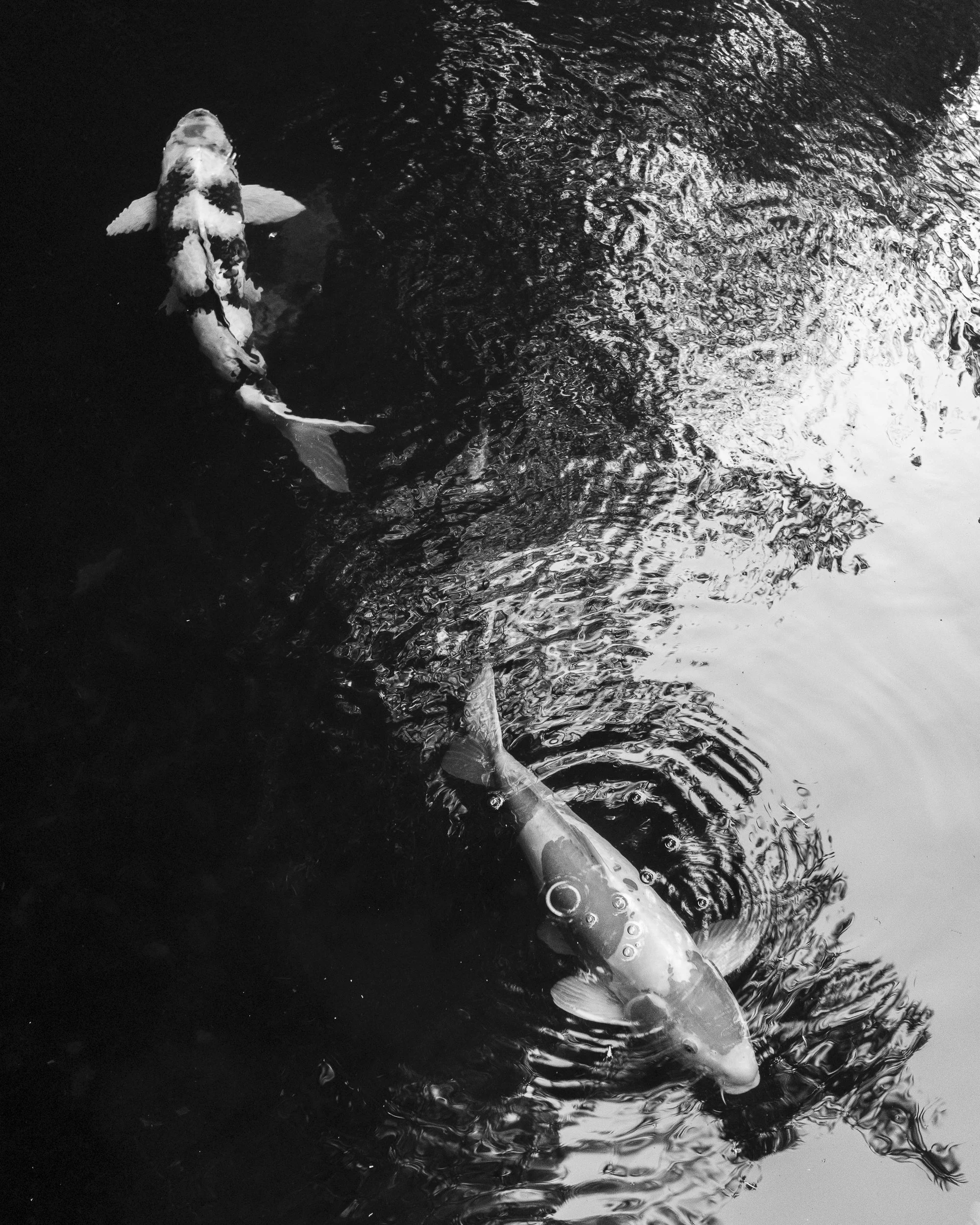 GR005808.jpg