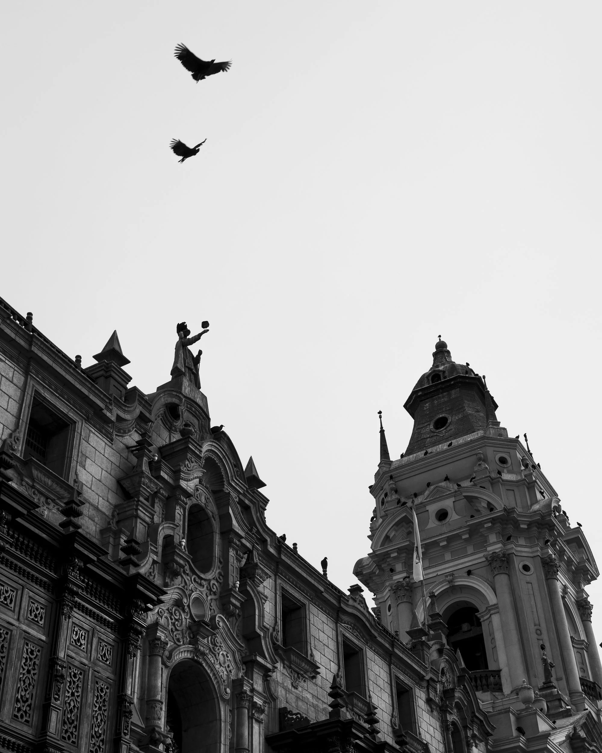 GR006199.jpg