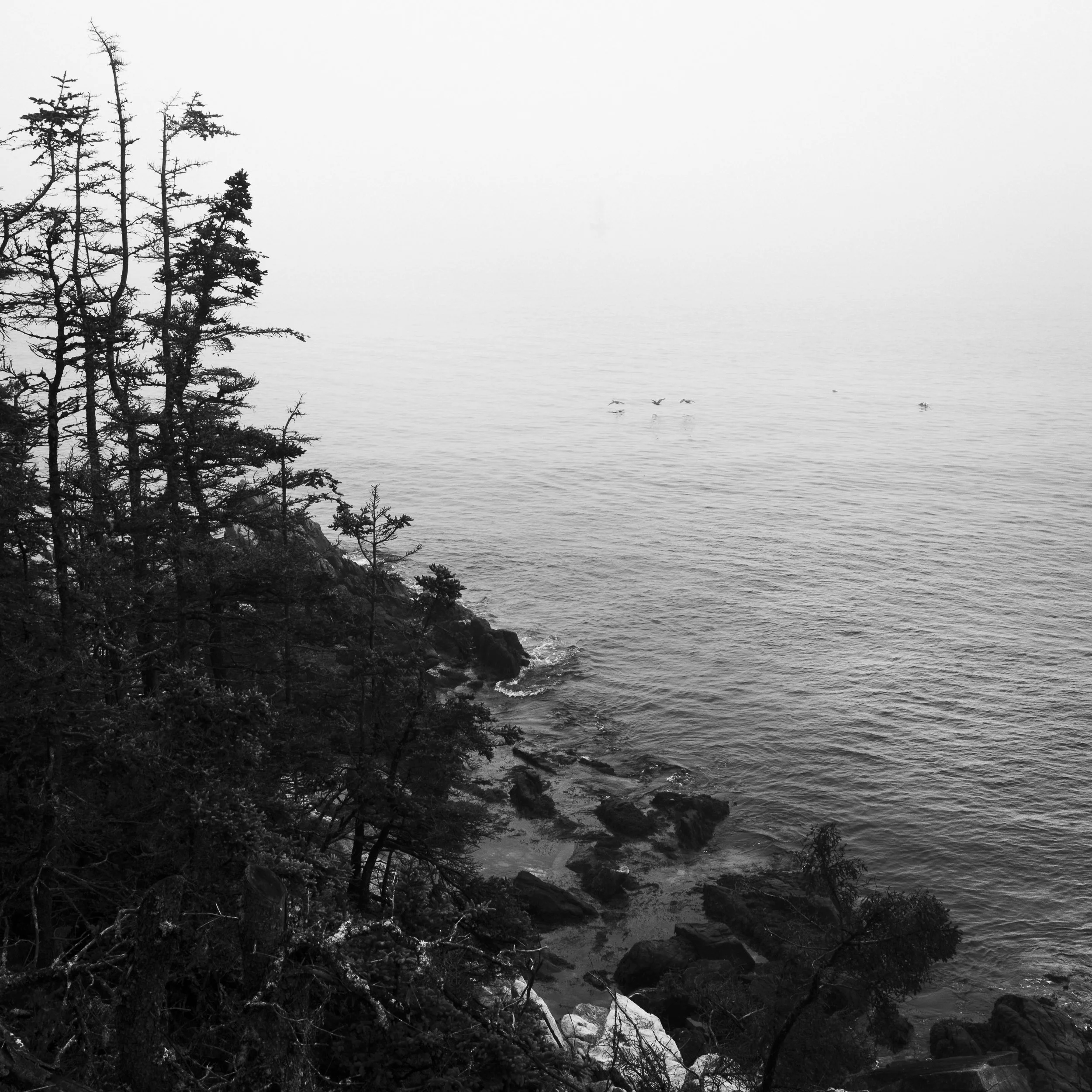 GR007092.jpg