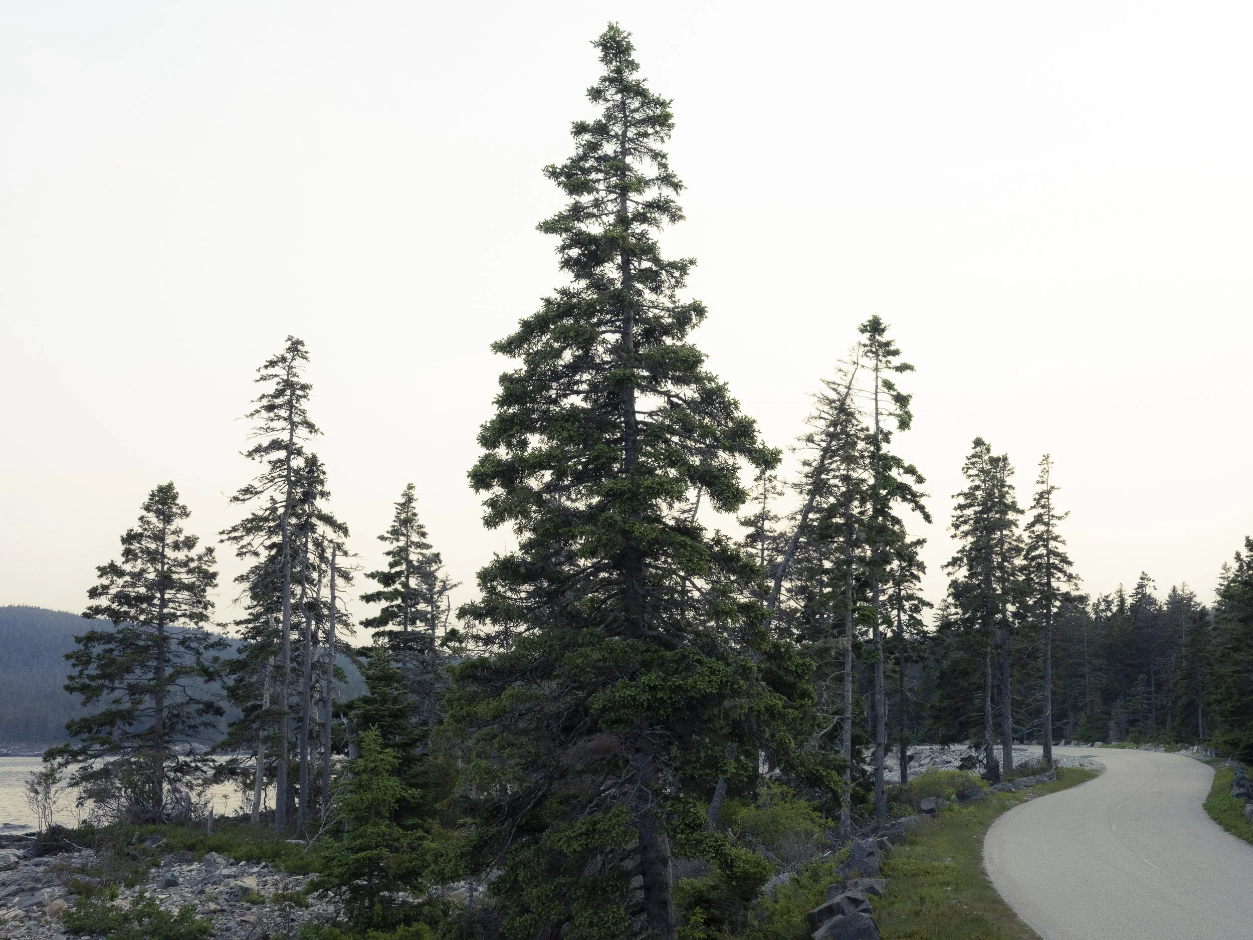 GR007025.jpg