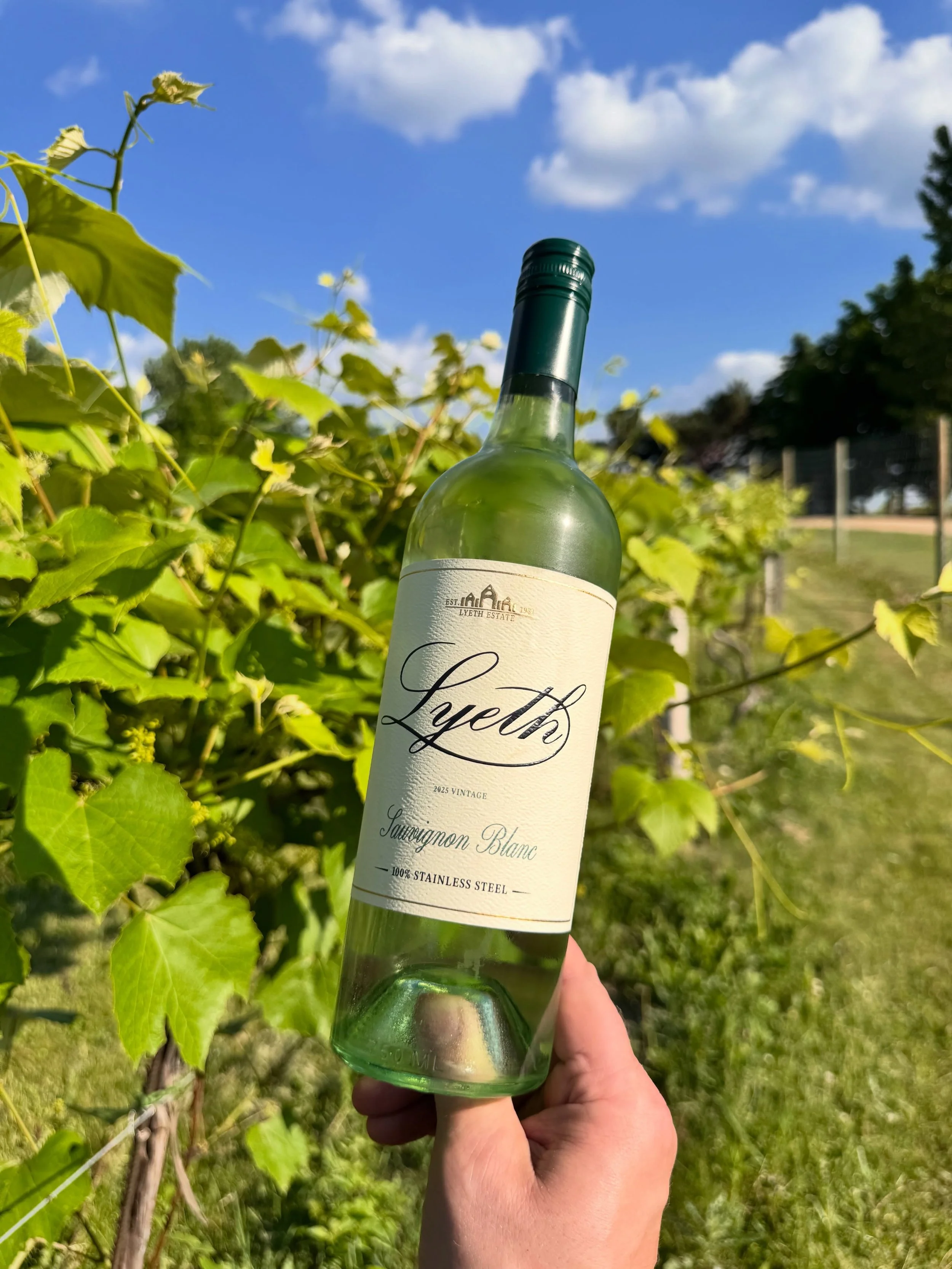 A deliciously citrusy Sauvignon Blanc with a grassy finish, Lyeth Sauvignon Blanc is 100% stainless steel fermented to preserve all the energy with just enough of a fruity RS to balance it all. It&rsquo;s stylistically someplace between Bordeaux and 