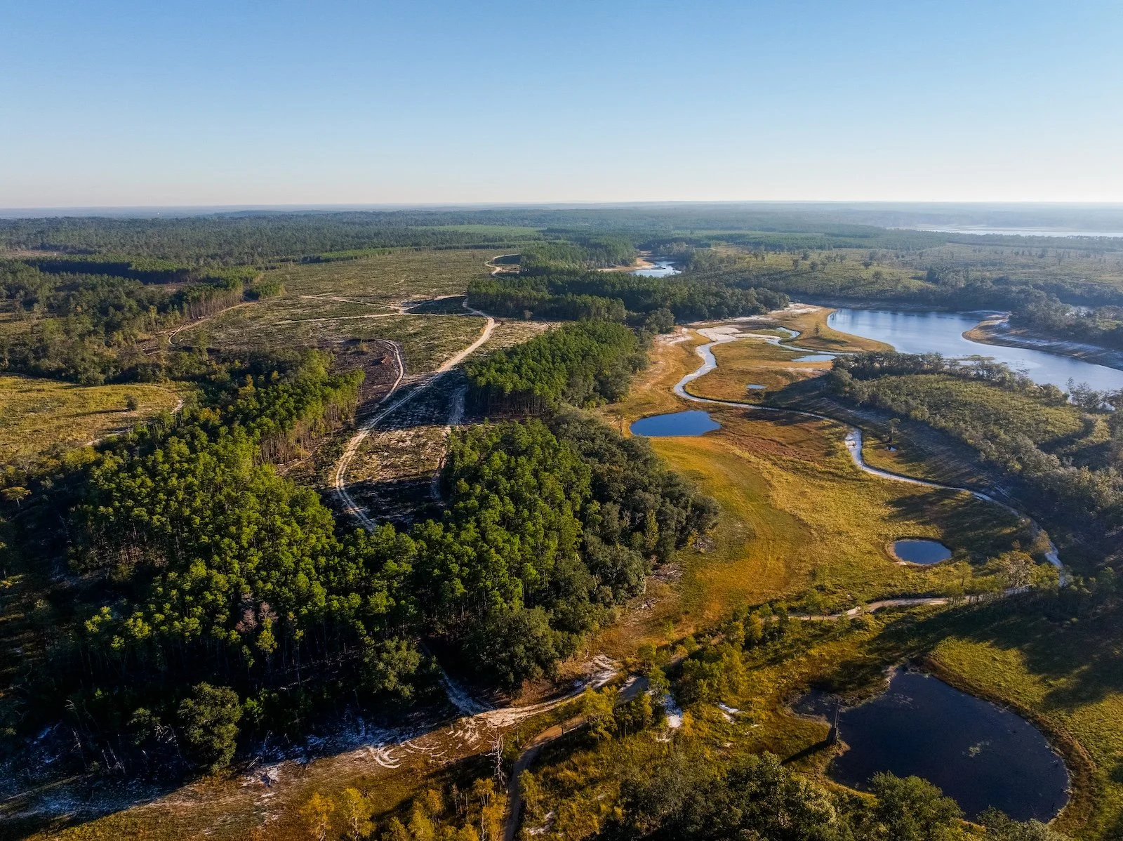 Aerial view of a landscape with winding water bodies, patches of green forest, and cleared land under a clear blue sky.