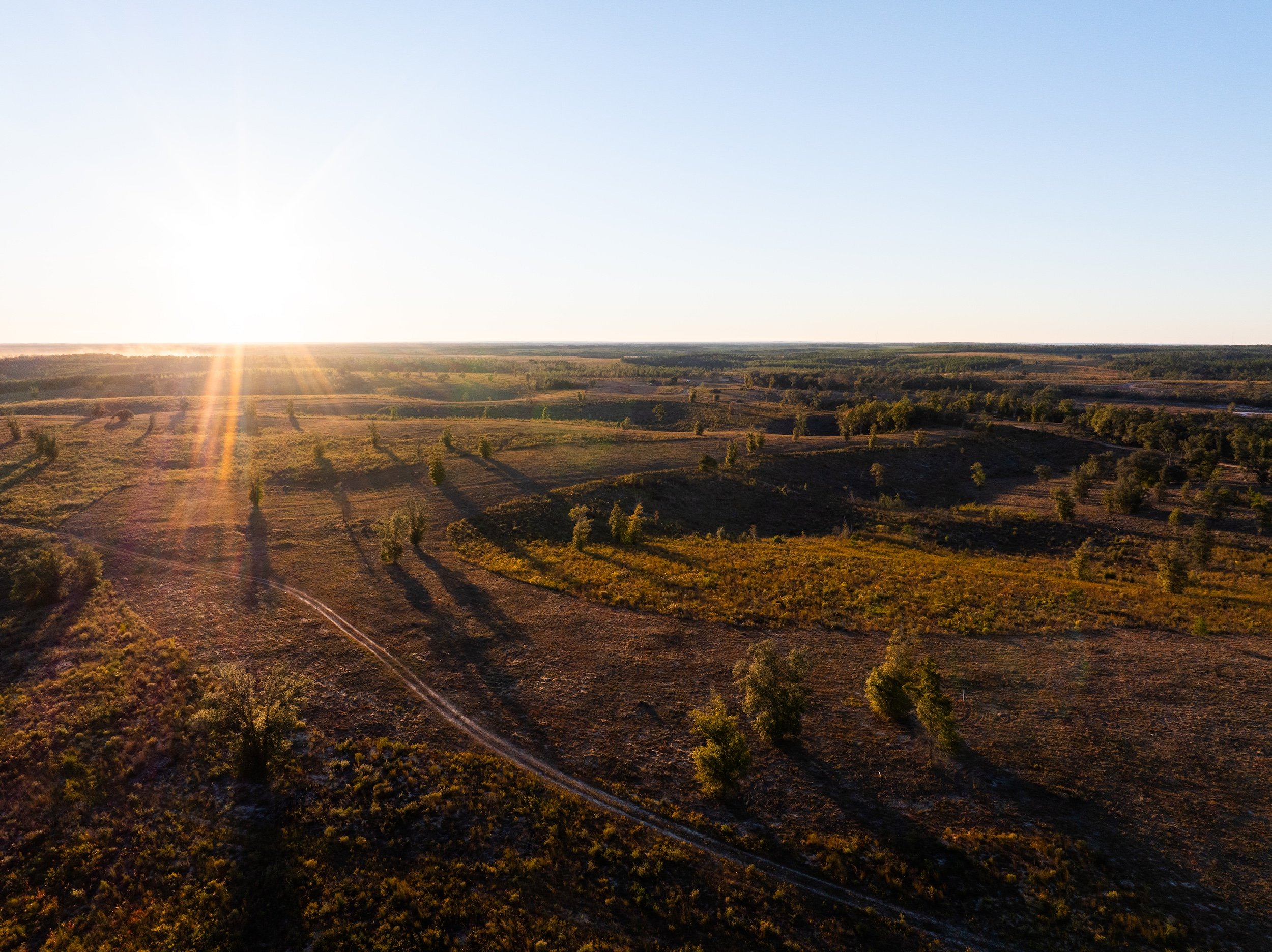 Aerial view of a vast open field landscape at sunset with scattered trees and a dirt path