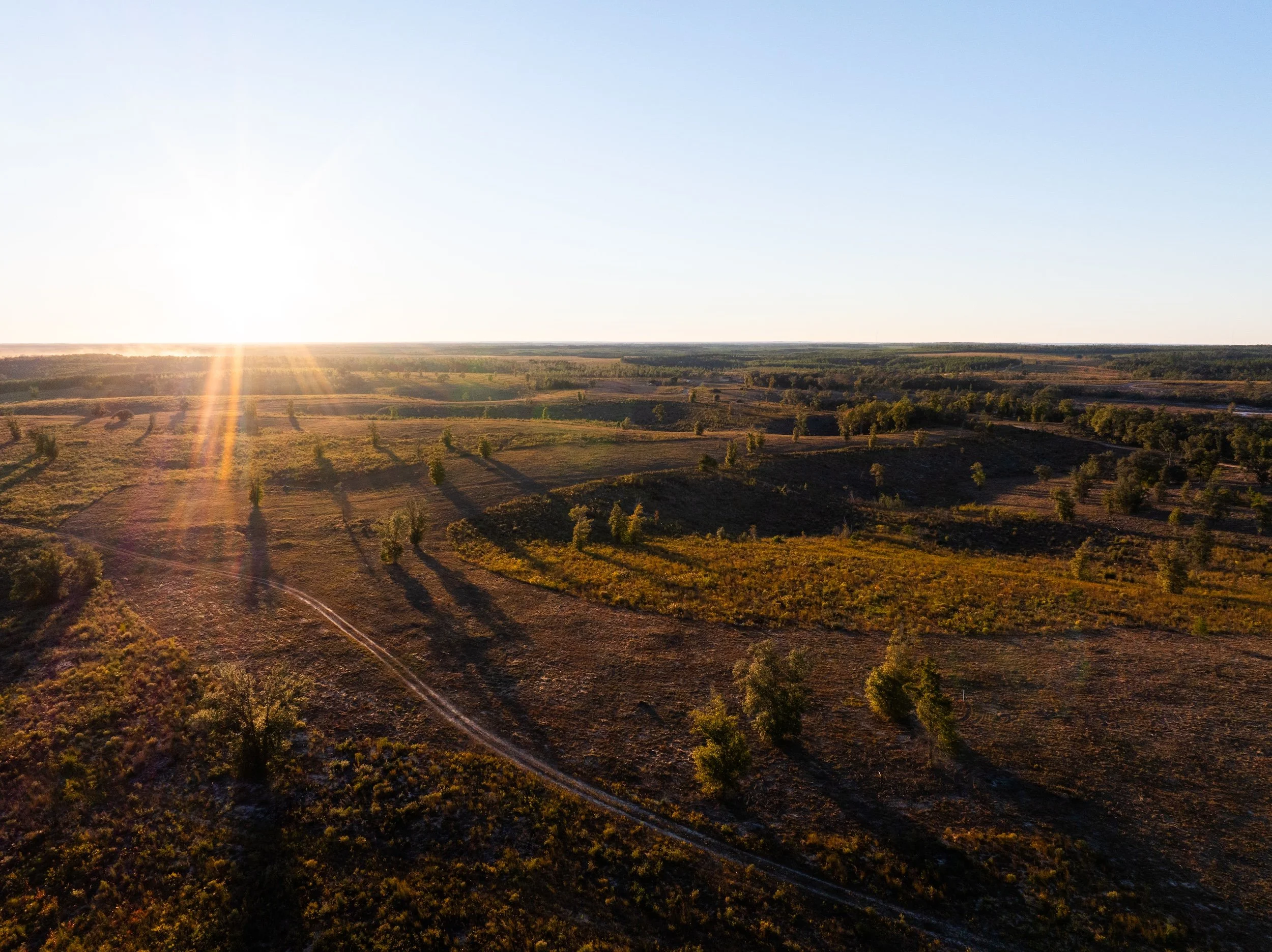 Aerial view of the Old Shores landscape with fields, scattered trees, and a dirt road at sunset, producing long shadows.