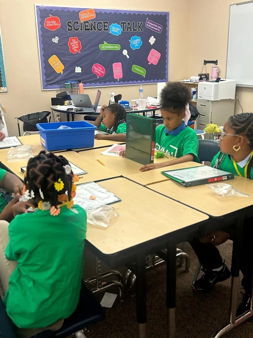 seeds of life diaspora 2.jpeg