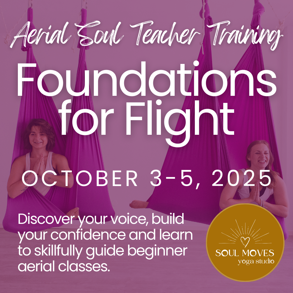 Foundations for Flight Aerial Teacher Training