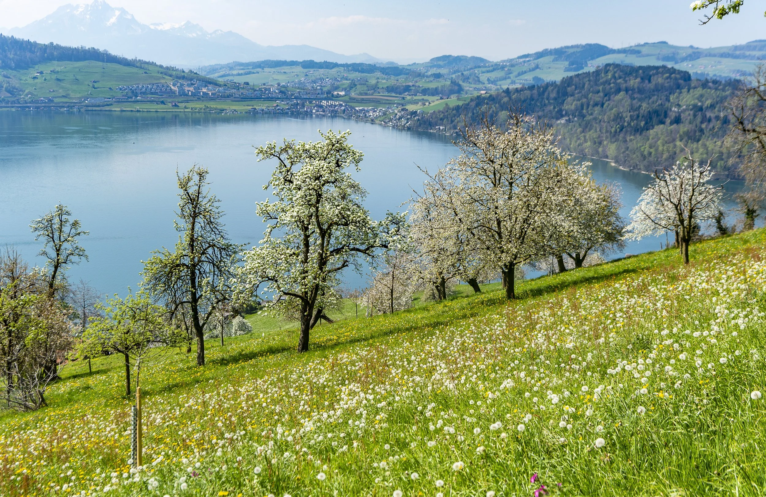 The Hidden Advantage of a Spring Move to Switzerland