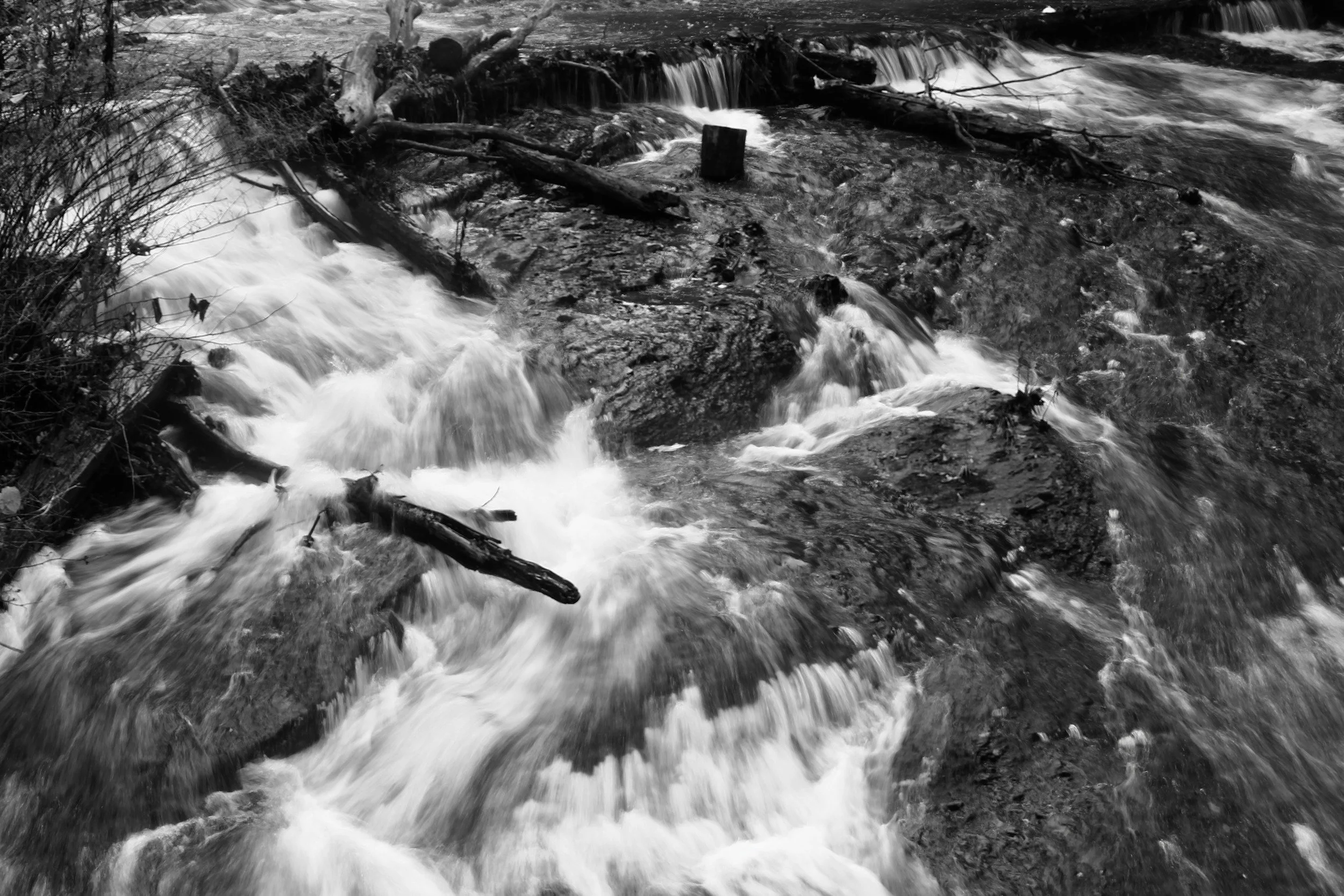 Will My Roth IRA Conversion Be Penalty-Free?