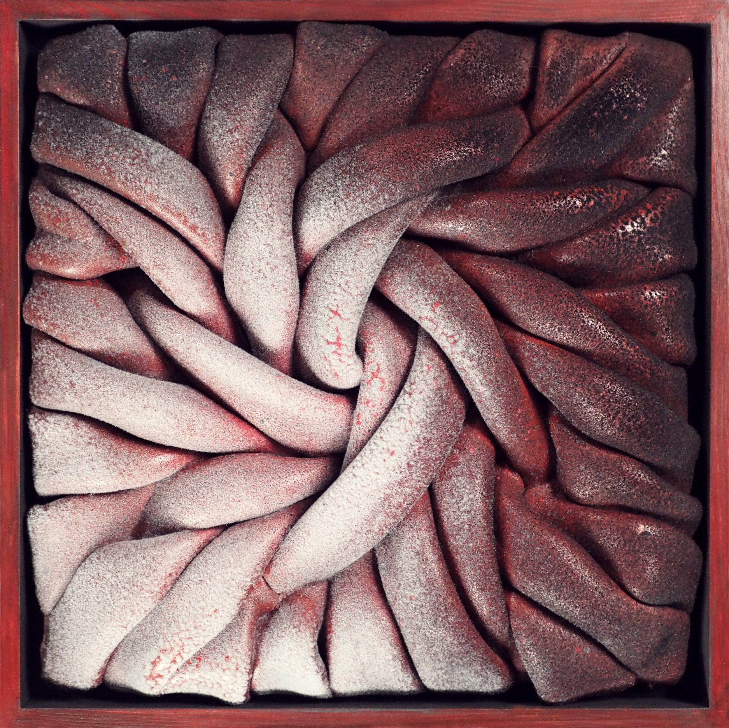 Red Micro.jpg