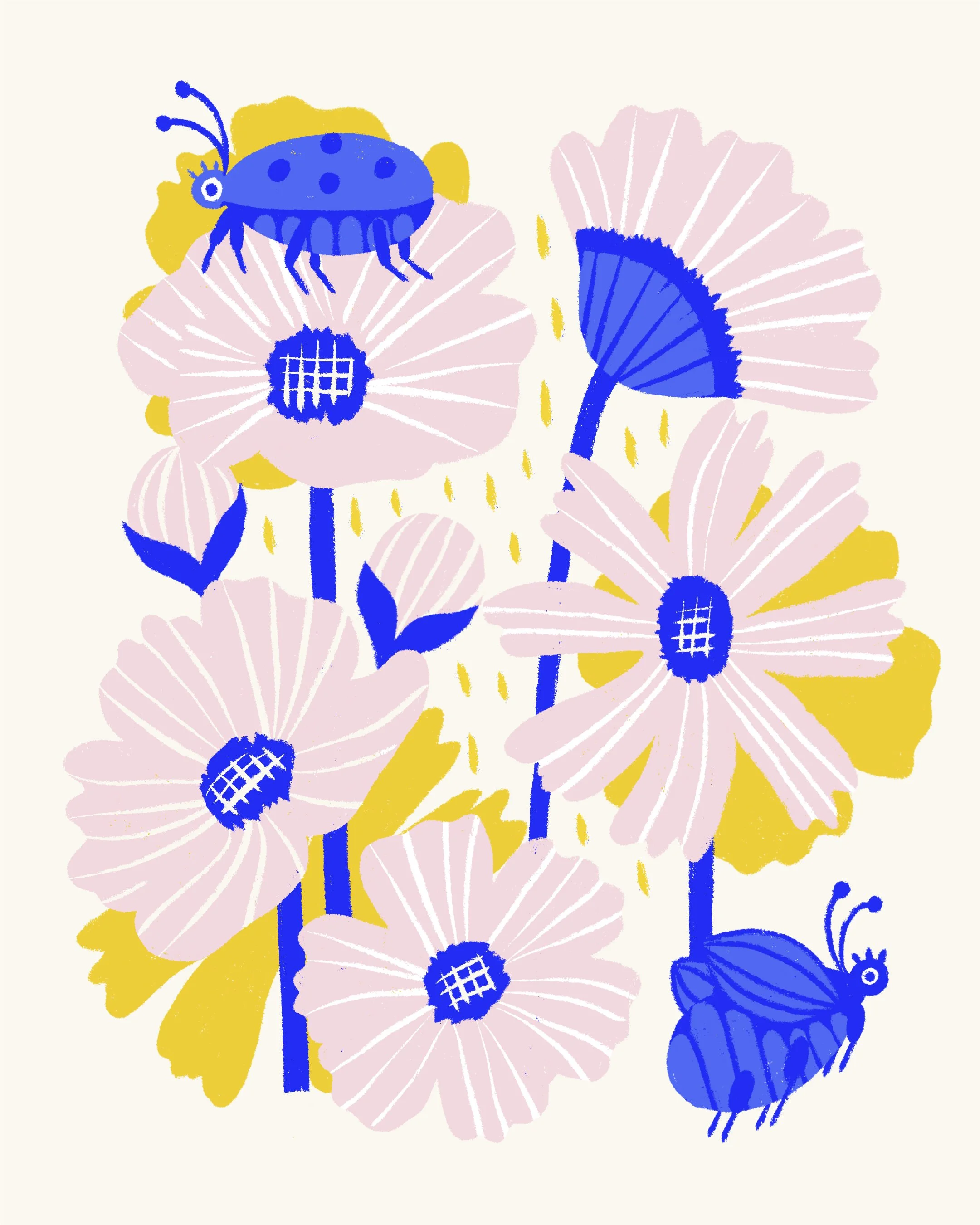 Cosmos Beetles_1.jpg