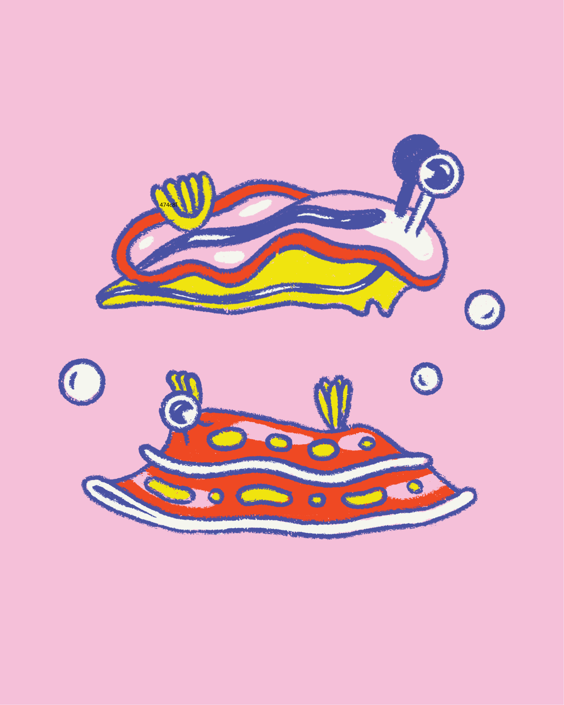 NUDI_IG.png