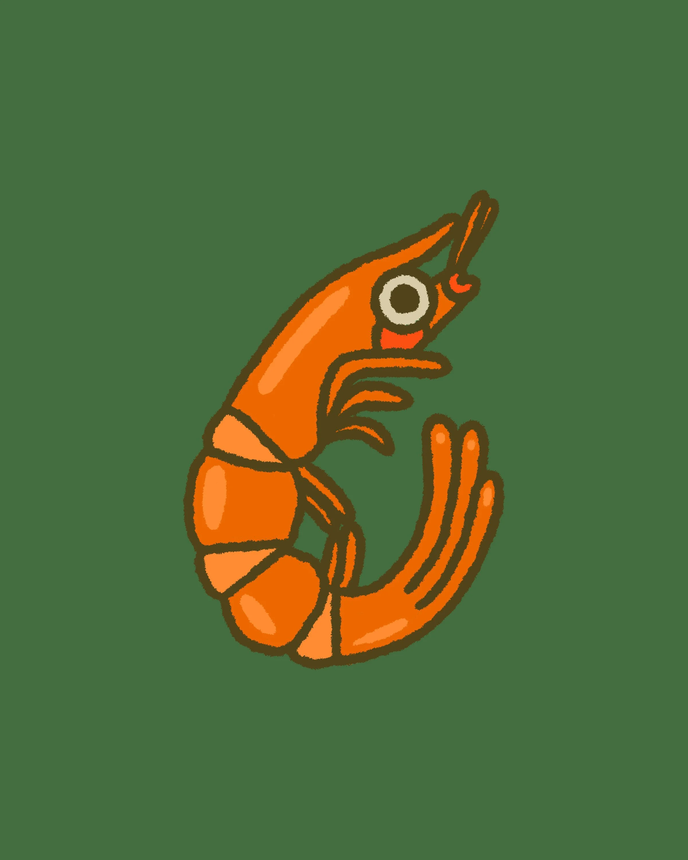 SHRIMPIN HARD- June 11, 2026 17.20.jpg