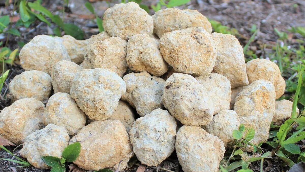 Geodes Small