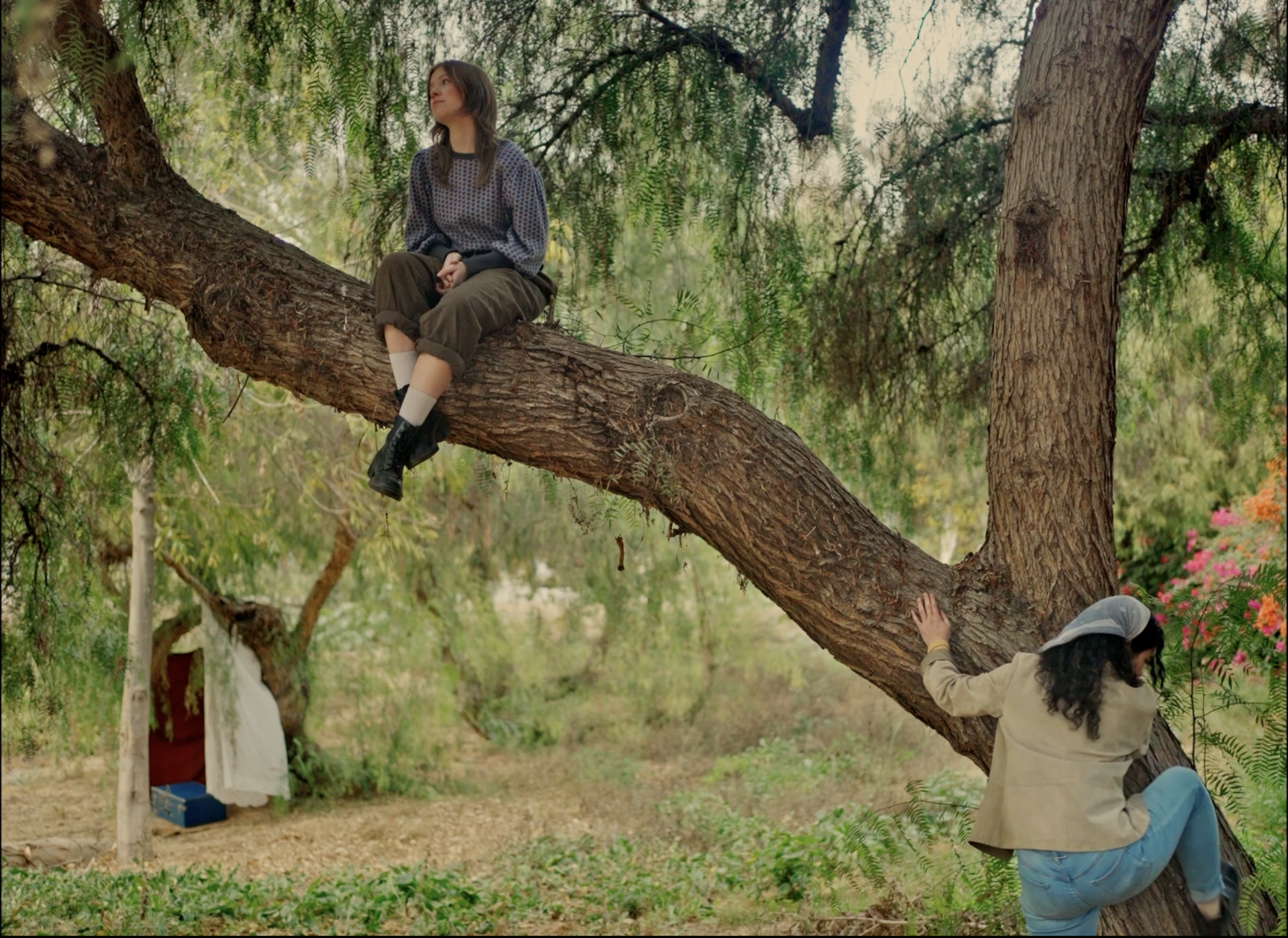 Screenshot 2024-12-30 at 1.05.12 PM.png