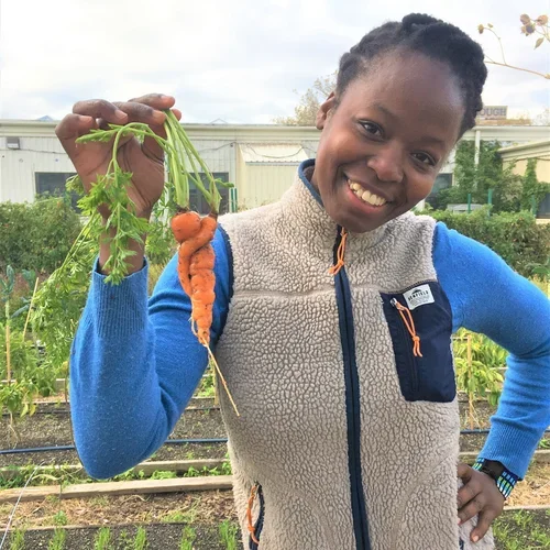 City Tech Stories: Episode 6 – Interview with Maya Marie from KCC Urban Farm (November 2020)

“We were delighted to chat with Maya Marie – farmer, chef, food historian and educator – about her work at the KCC Urban Farm and her passion project, Seeds