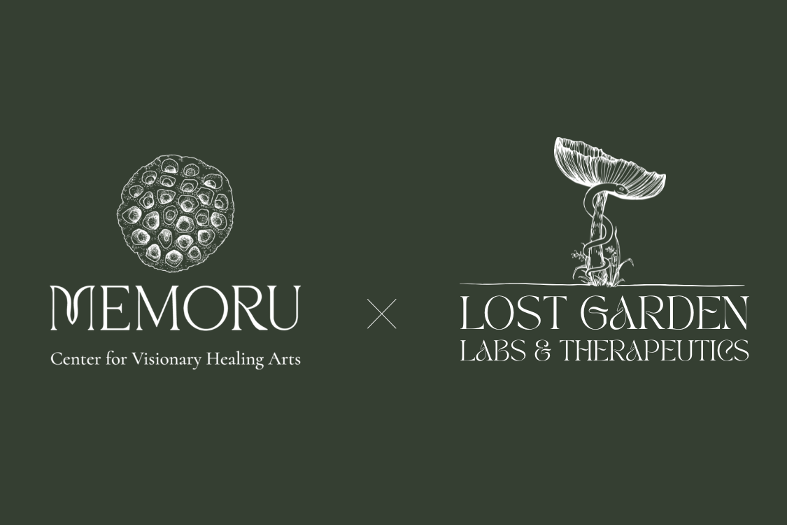 memoru x lost garden.png