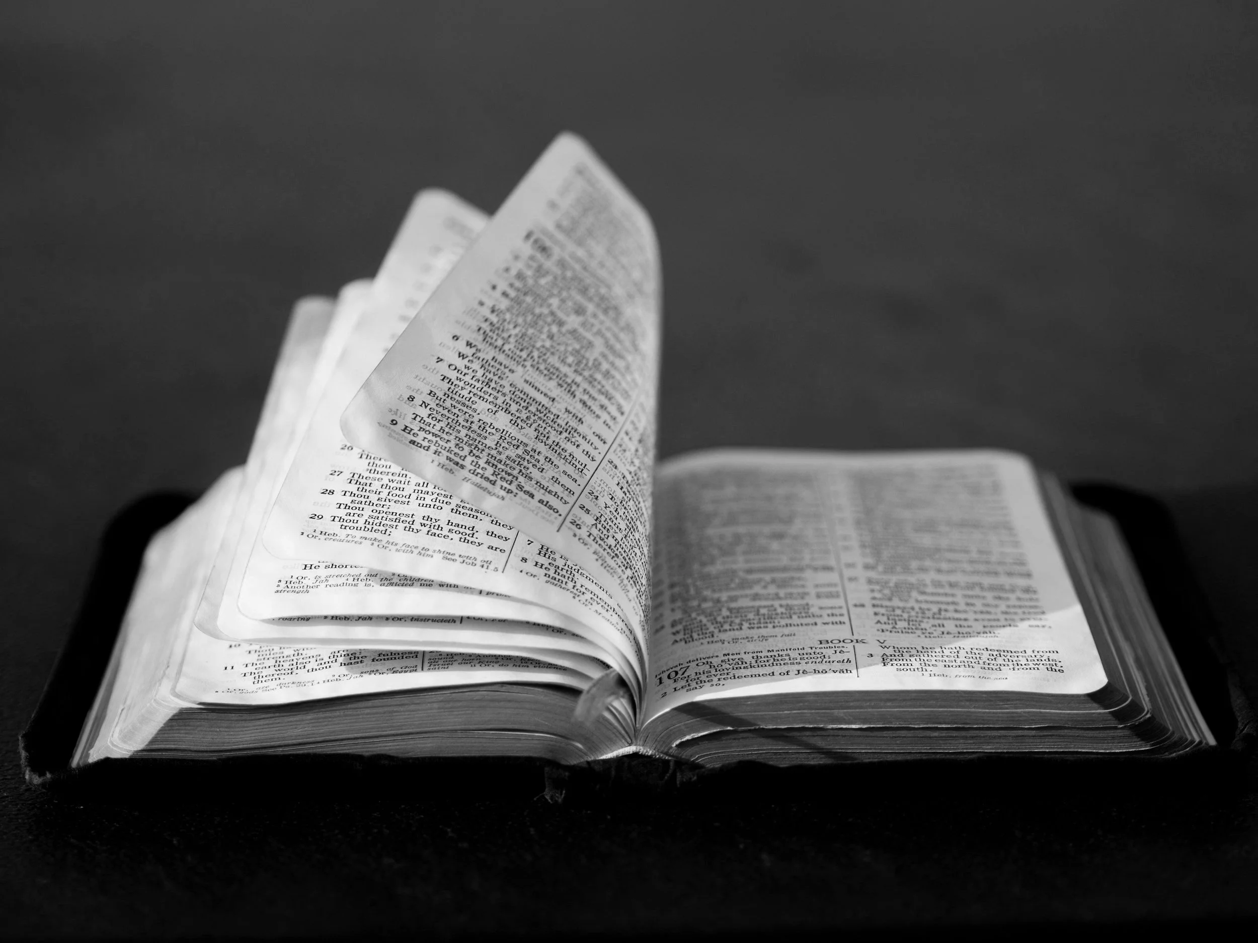 unsplash-image-TNlHf4m4gpI.jpg