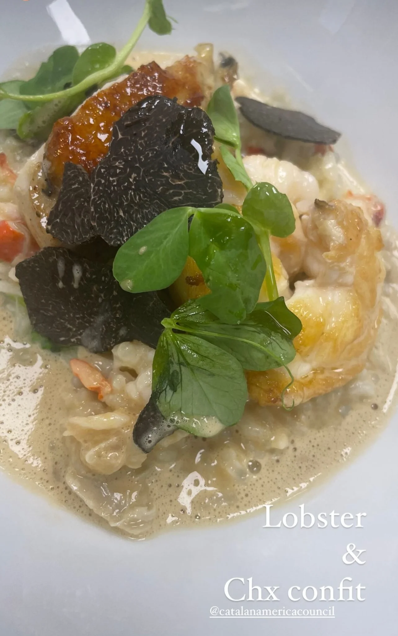 A dish of lobster and cheese casserole garnished with fresh greens and black and green truffle slices.