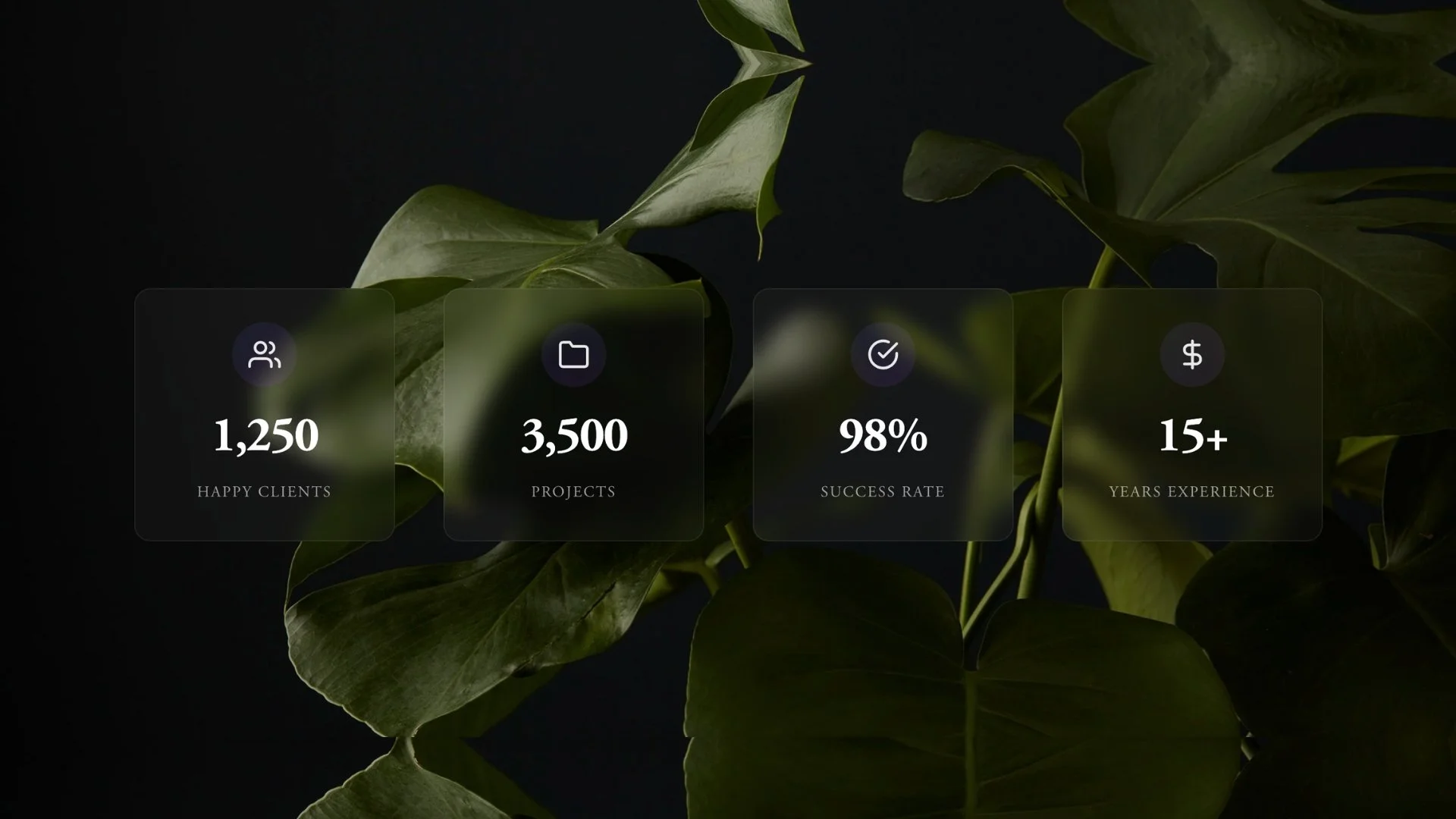 Free Animated Number Counter for Squarespace (7.0 &amp; 7.1) - No Plugins Required