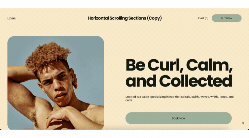 Horizontal Scrolling Sections Squarespace Plugin 7.1