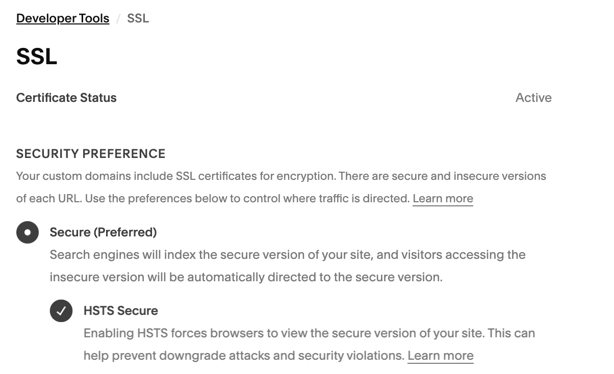 Squarespace performance settings and site speed optimization to improve SEO rankings