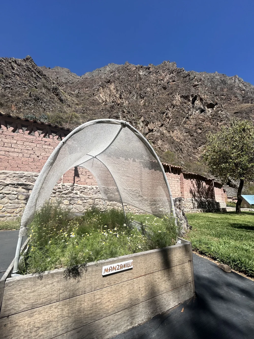 Onsite garden with local herbs used in meals