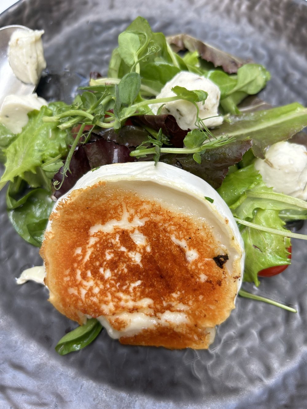 Goat cheese salad