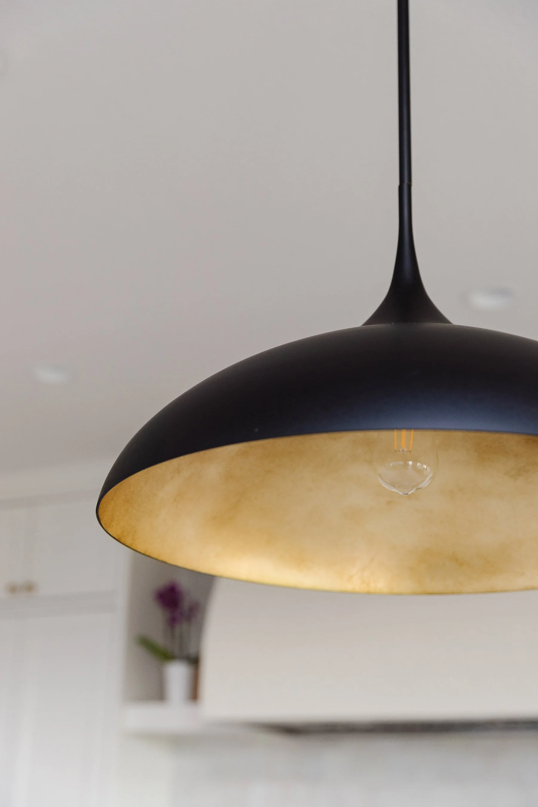 Y- PV-D Black and Gold Pendant Light Fixture.jpg
