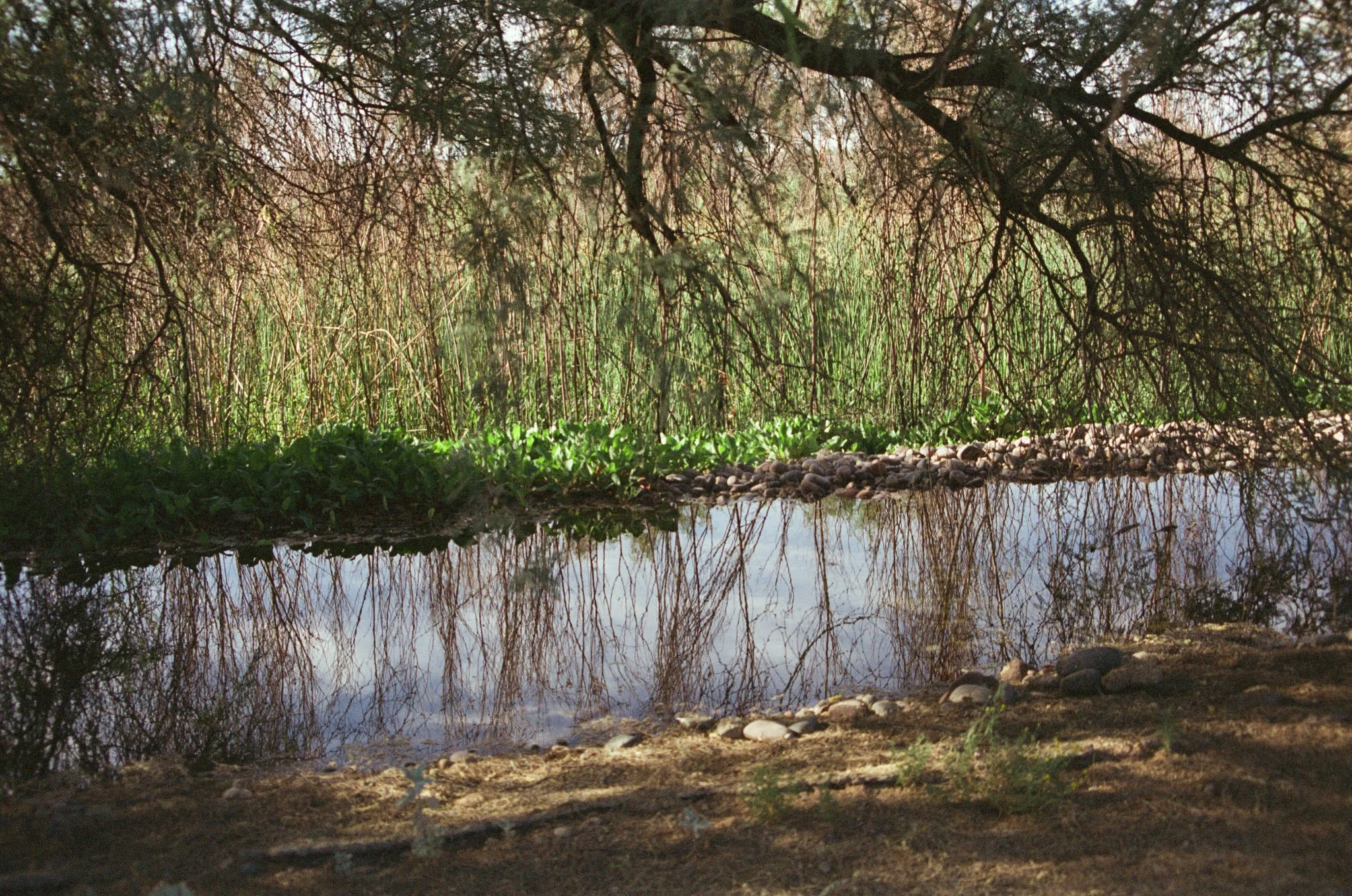000351220005.jpg