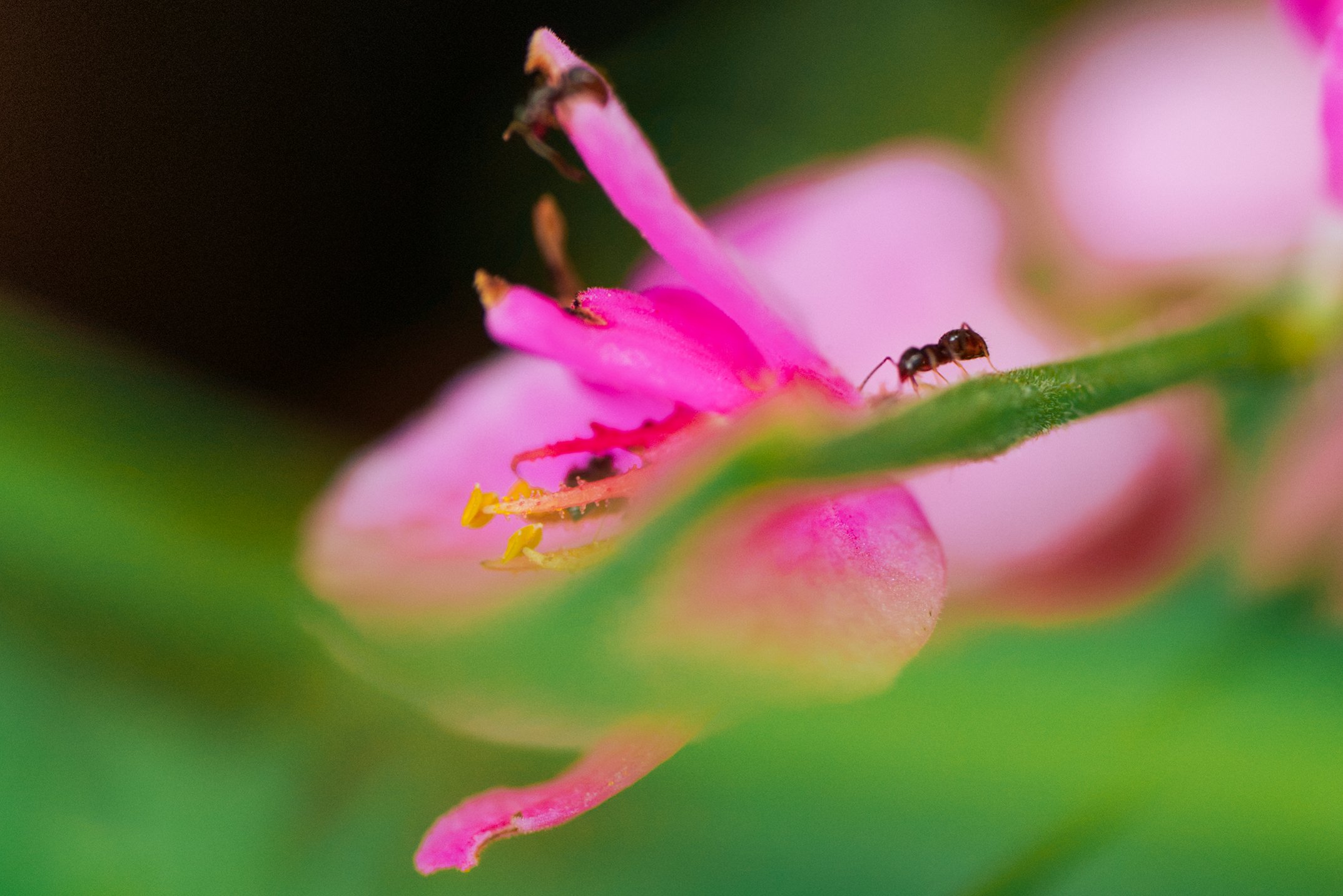 DSC05362-Edit.jpg