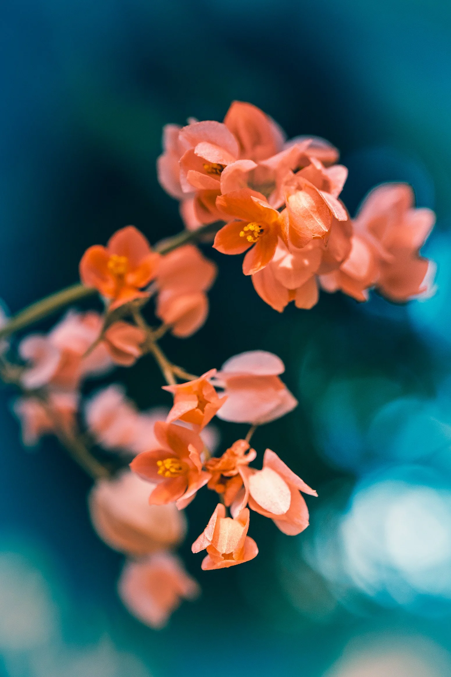 DSC05349-Edit.jpg