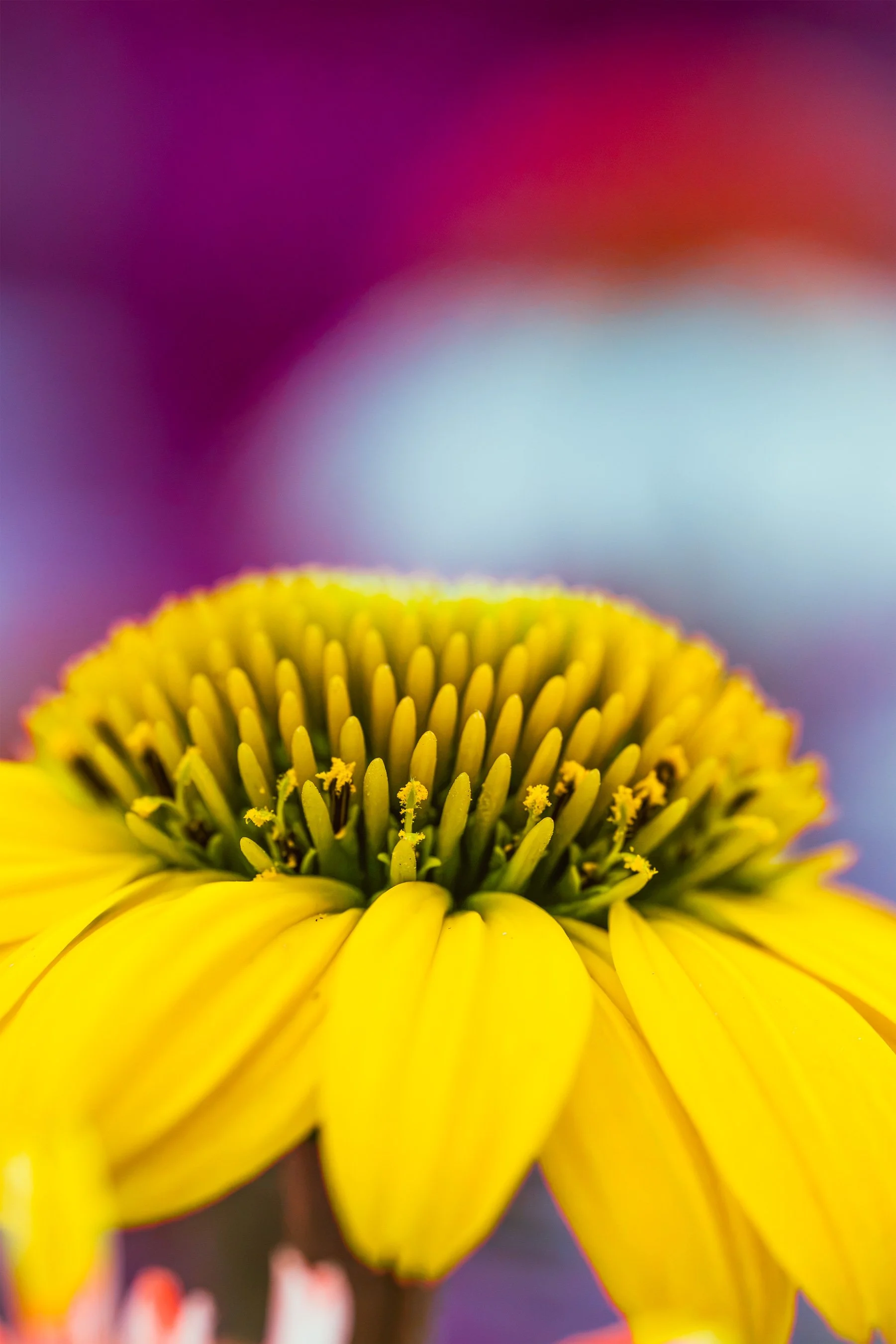 DSC06365-Edit.jpg